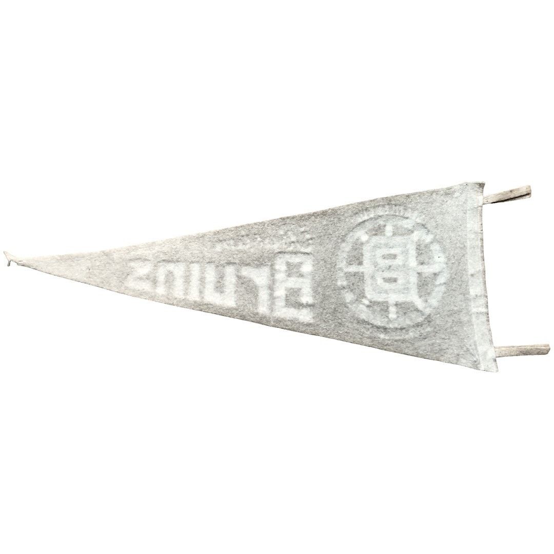 NHL Boston Bruins 1970 NHL Hockey Stanley Cup Champions Pennant Size ONE SIZE - 2 Thumbnail