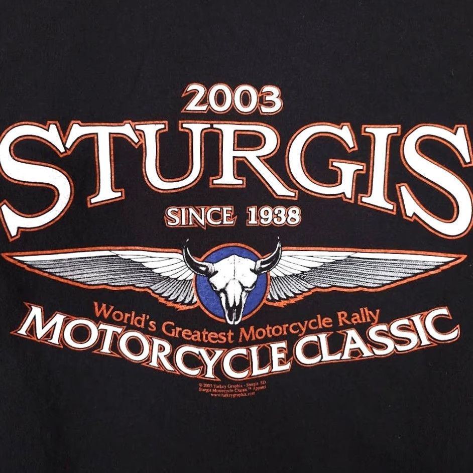 Hanes VINTAGE Sturgis T Shirt Mens Size Large Black Y2K 2003 Black Hills Rally Eagle Hanes Shirt Mens Black Hills Rally 2003 Biker Souvenir Size US L / EU 52-54 / 3 - 5 Thumbnail