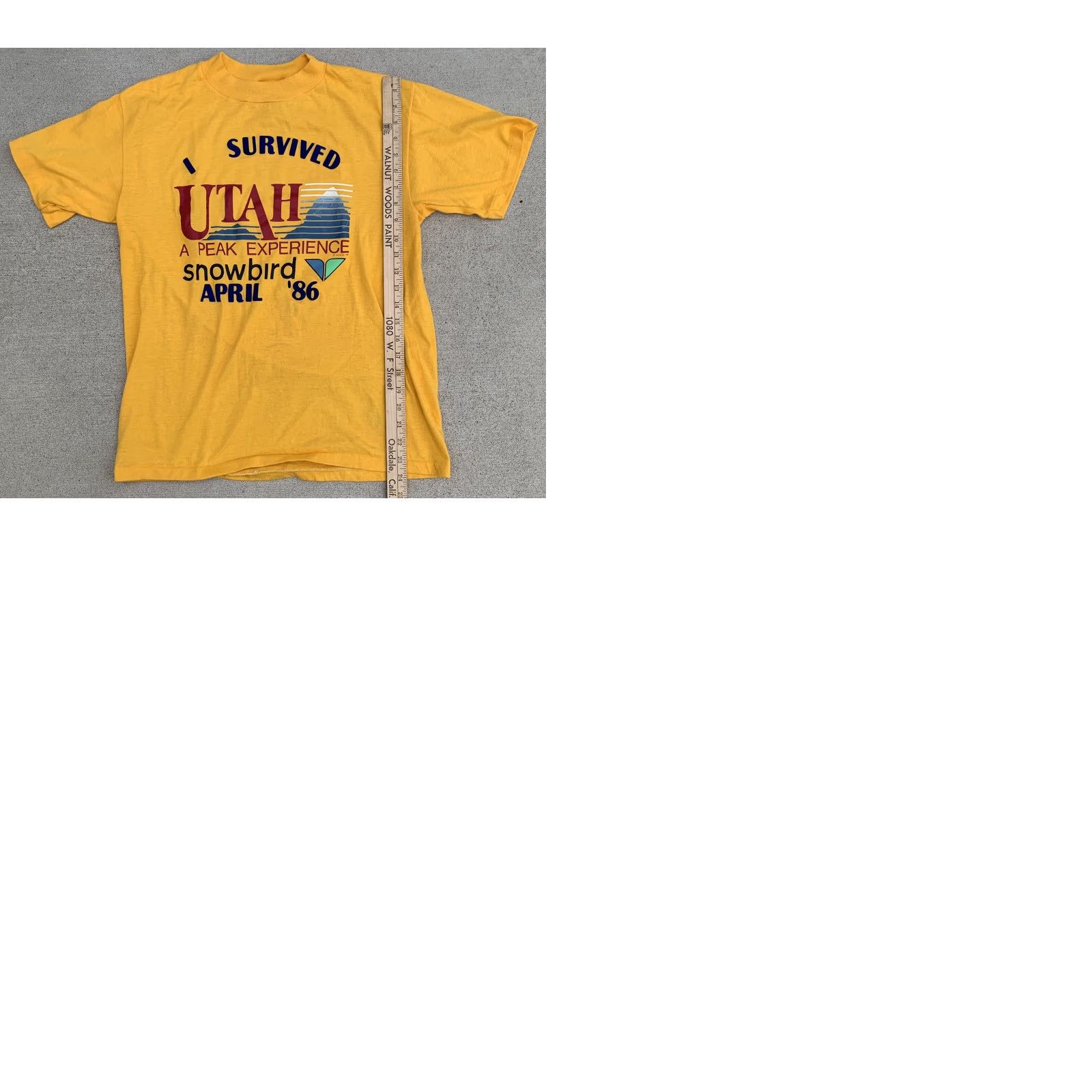 Vintage vintage I survived Utah peak experience snowbird April 86 graphic tee t-shirt L Miller Mens Crew Neck Short Sleeve Yellow 80s nature USA Size US L / EU 52-54 / 3 - 9 Thumbnail