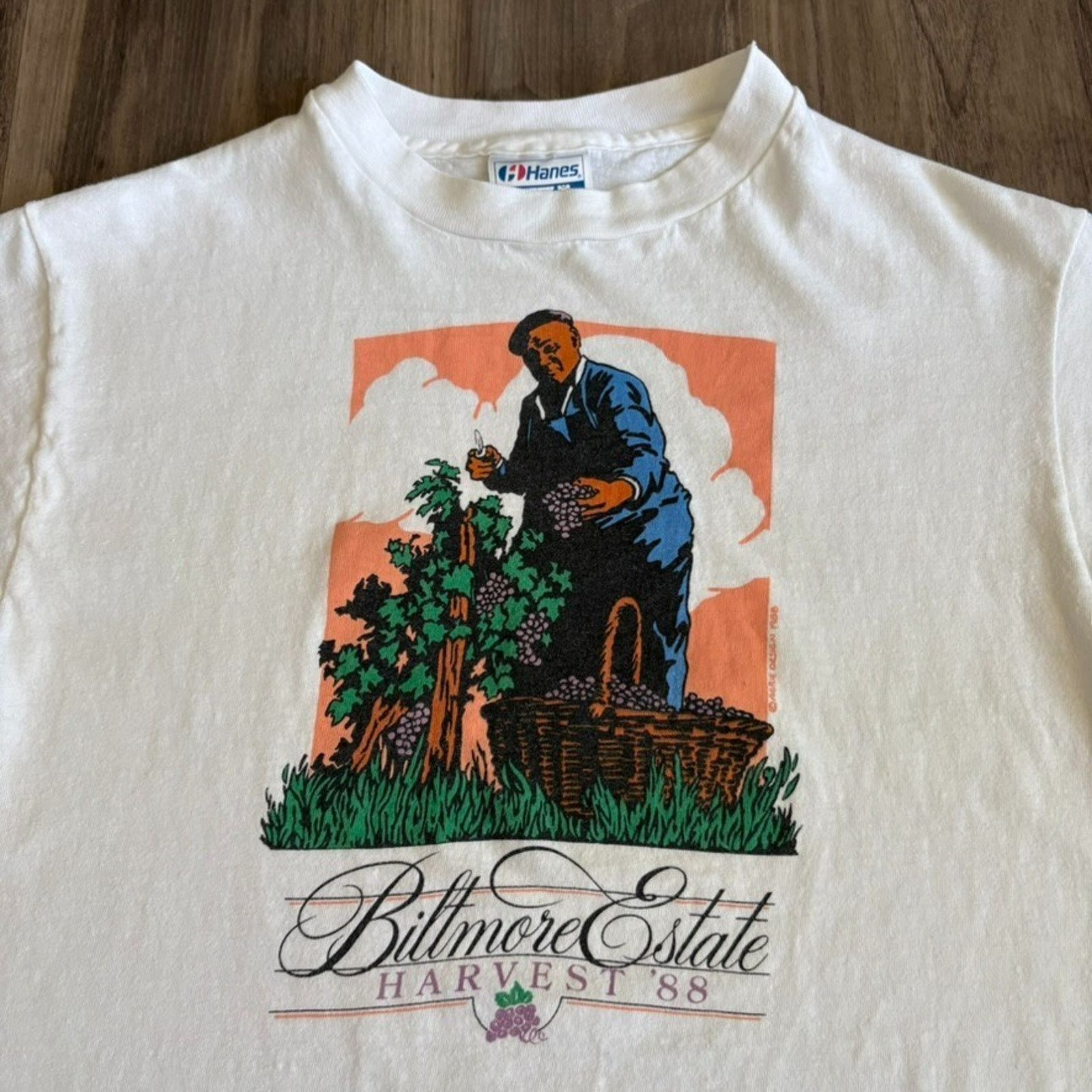Vintage Vintage Biltmore Estate Art T-Shirt Men's Size S 1988 Size US S / EU 44-46 / 1 - 2 Thumbnail
