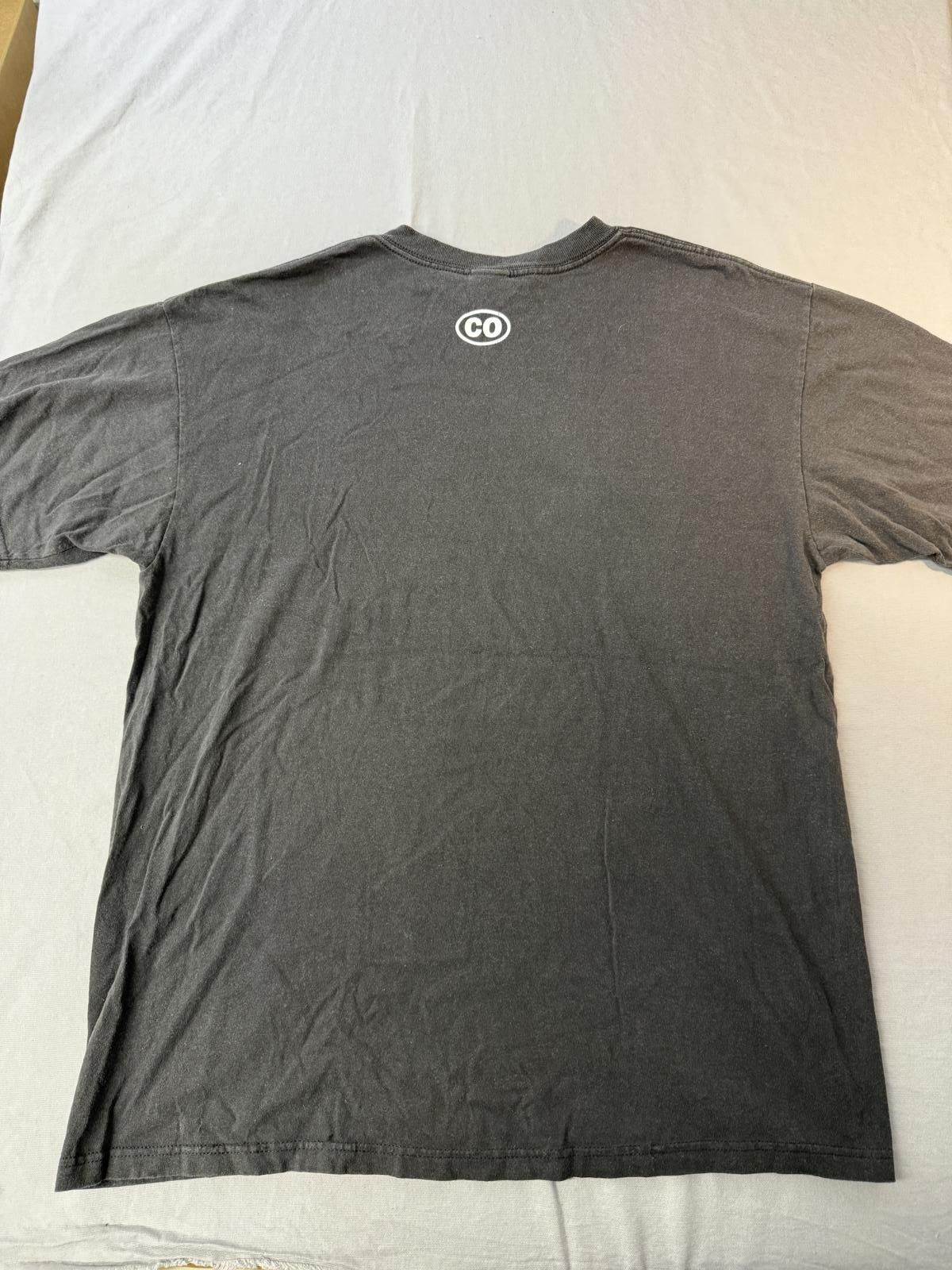 Anvil Faded Colorado Vail Y2K Flame Biker Style Tee - XL Size US XL / EU 56 / 4 - 2 Thumbnail