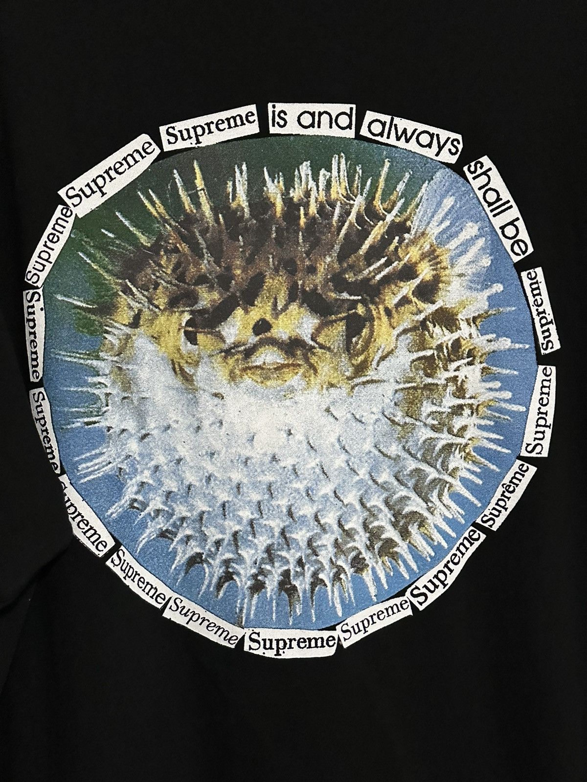 Supreme Supreme Blowfish Tee Size US XL / EU 56 / 4 - 2 Thumbnail