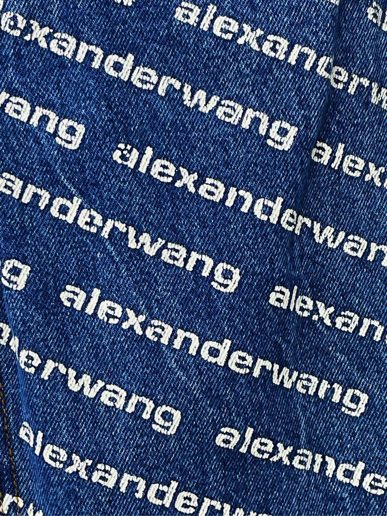 Alexander Wang Alexander Wang All Over Logo Printed Denim Pants K26WX Size 24" / US 00 / IT 34 - 6 Thumbnail