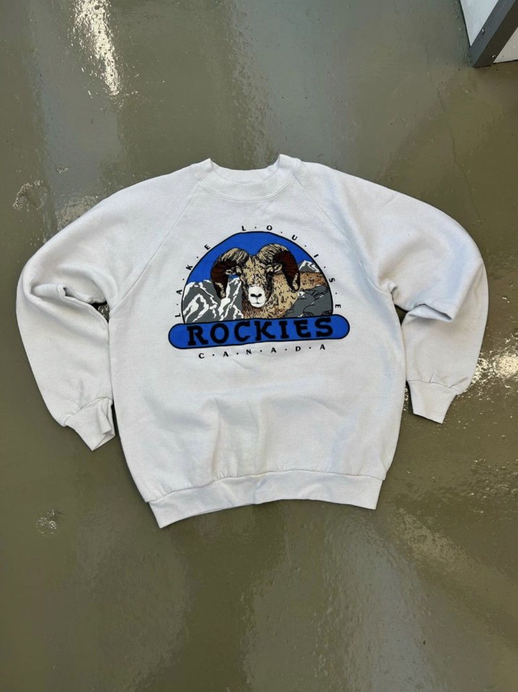 Vintage Fruit of the Loom Rockies Sweater Size L / US 10 / IT 46 - 1 Thumbnail