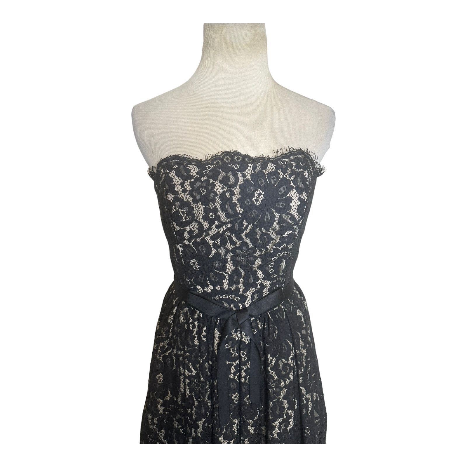 Robert Rodriguez Robert Rodriguez Lace Strapless Party Cocktail Dress Size 6 Size M / US 6-8 / IT 42-44 - 17 Thumbnail