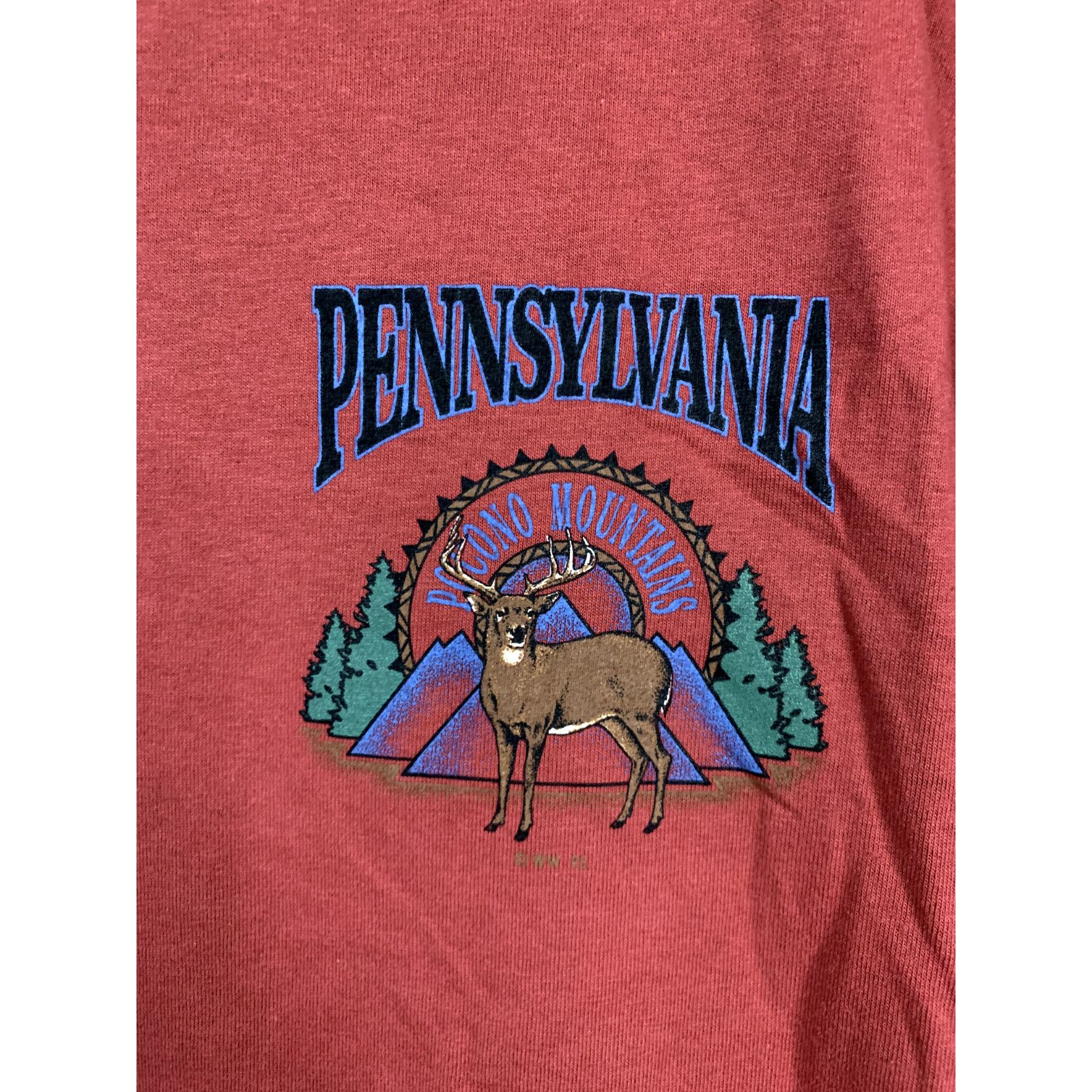 Jerzees Vintage Pennsylvania Pocono Mountains Shirt Red Tee 1995 L Size US L / EU 52-54 / 3 - 2 Thumbnail