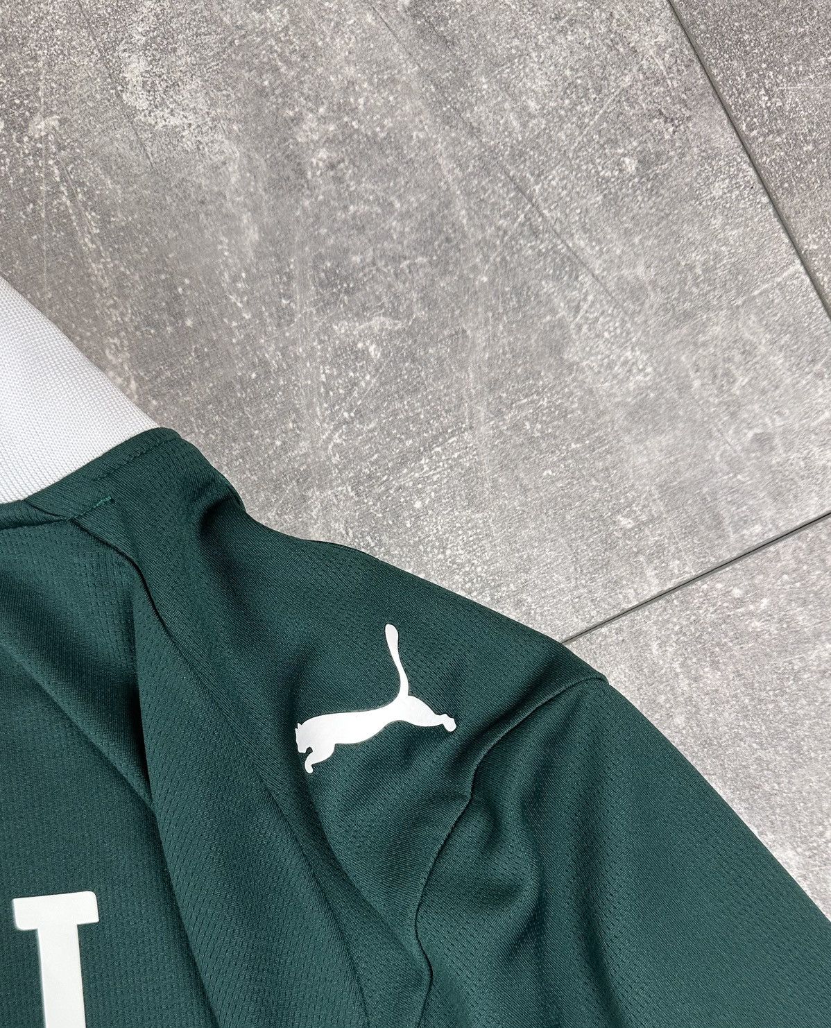 Puma Puma Plymouth Argyle 2025/26 Max Talovierov #40🇺🇦 Size US L / EU 52-54 / 3 - 14 Thumbnail