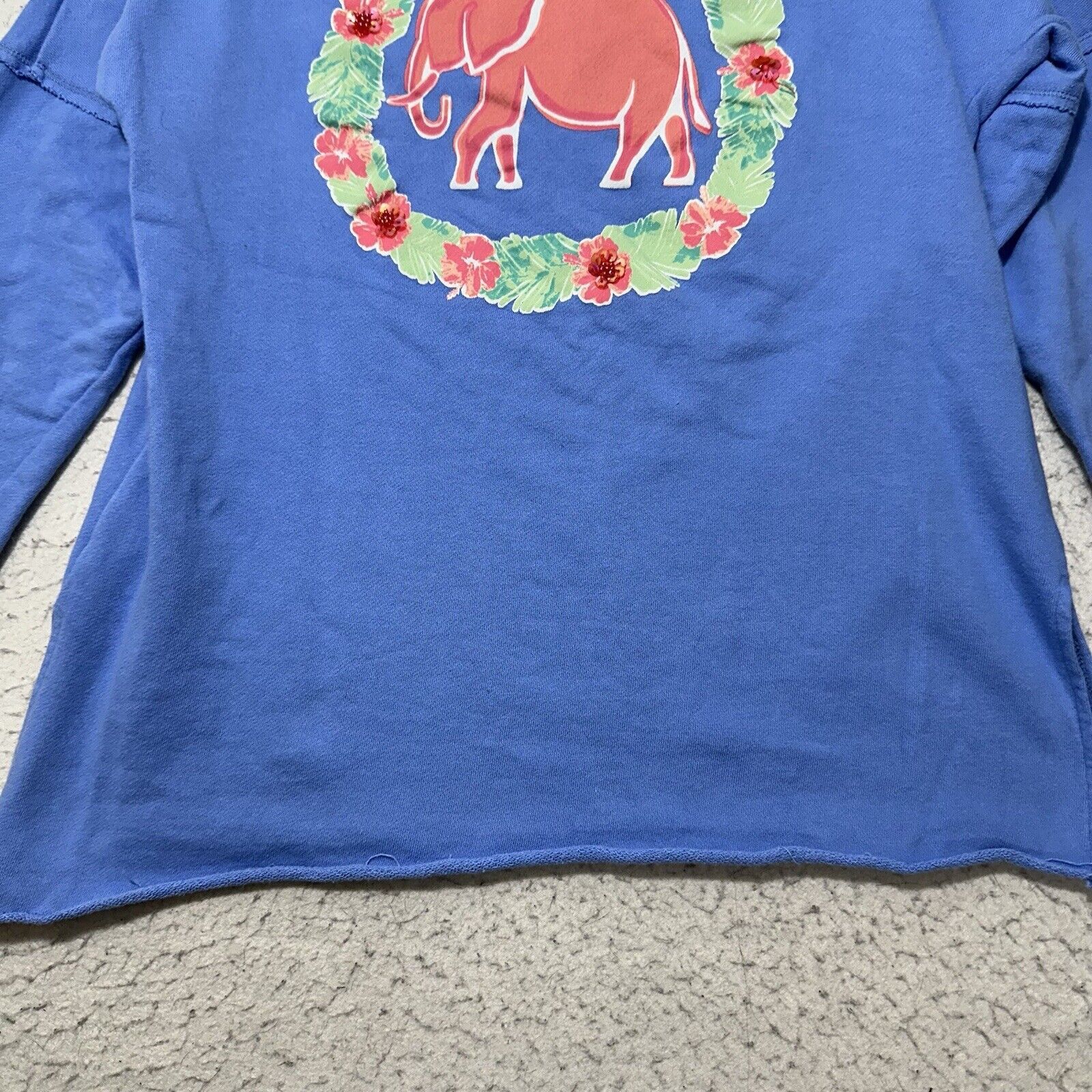 Other Crown & Ivy Medium Blue Pink Elephant Floral Sweatshirt Size M / US 6-8 / IT 42-44 - 16 Thumbnail