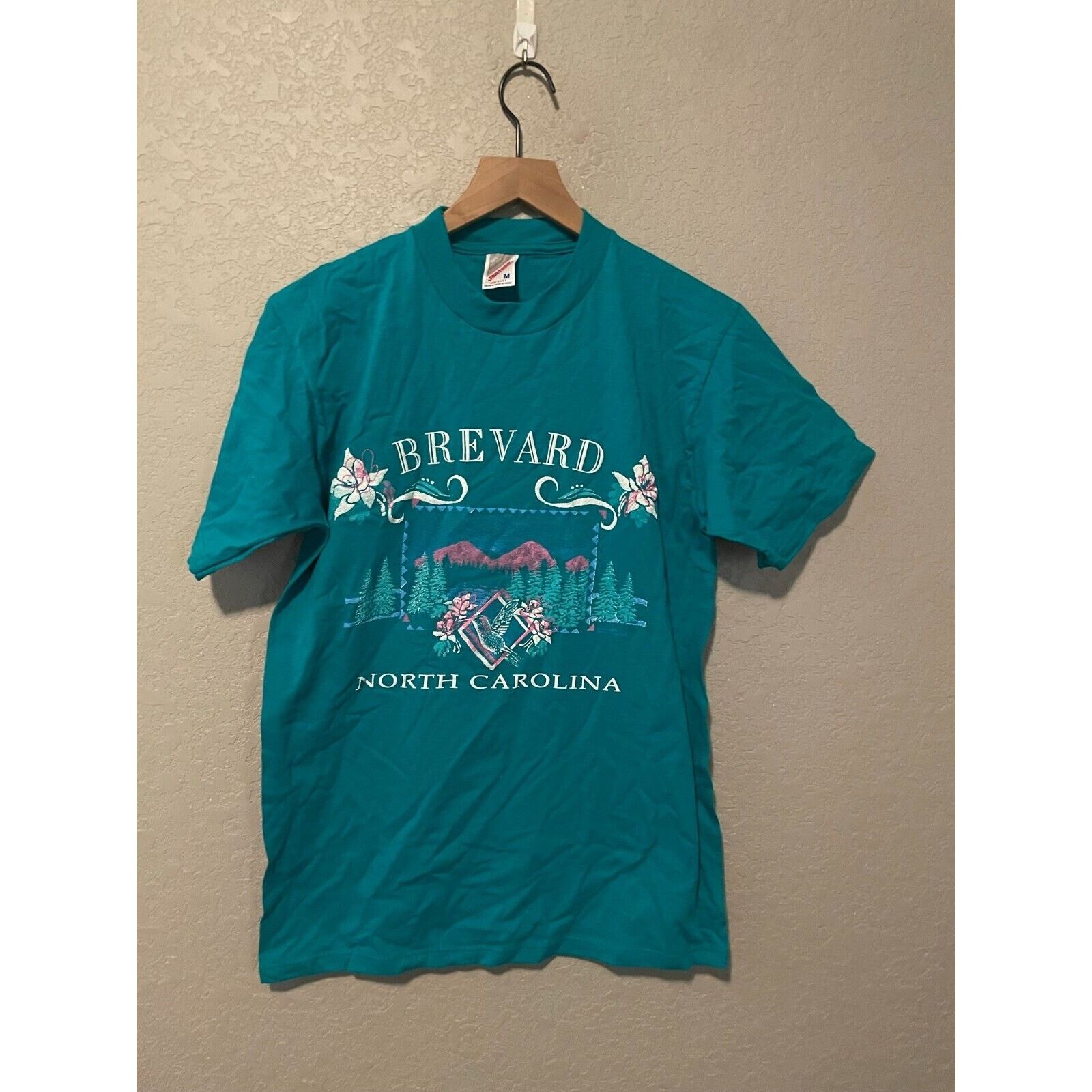 Jerzees Vintage Brevard North Carolina Shirt teal Tee VTG 90s Medium Size US M / EU 48-50 / 2 - 1 Thumbnail