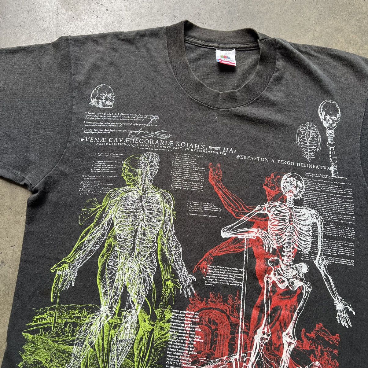 Fruit Of The Loom VTG ‘90s Andreas Vesalius Man Anatomy Art Tee Shirt Size US L / EU 52-54 / 3 - 4 Thumbnail