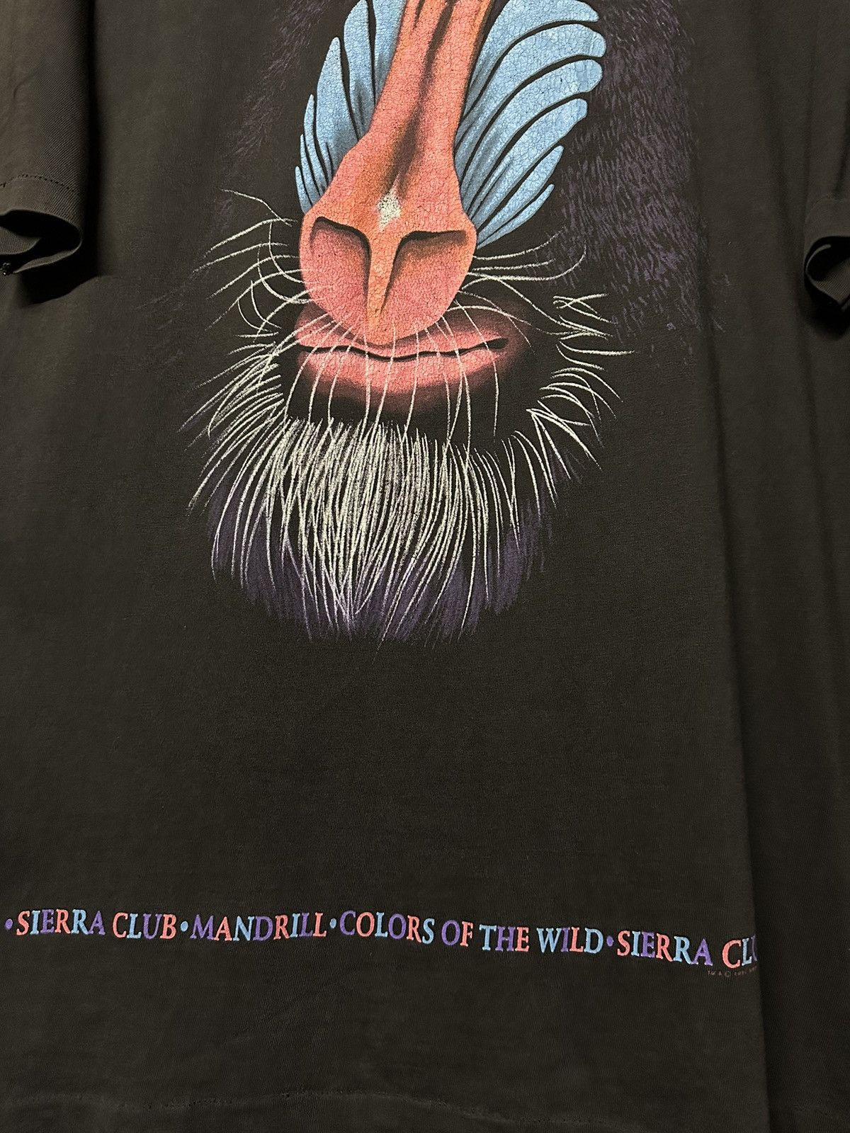 Disney × Vintage Vintage Rafiki Lion King Siera Club Faded Tee Size US XL / EU 56 / 4 - 5 Thumbnail