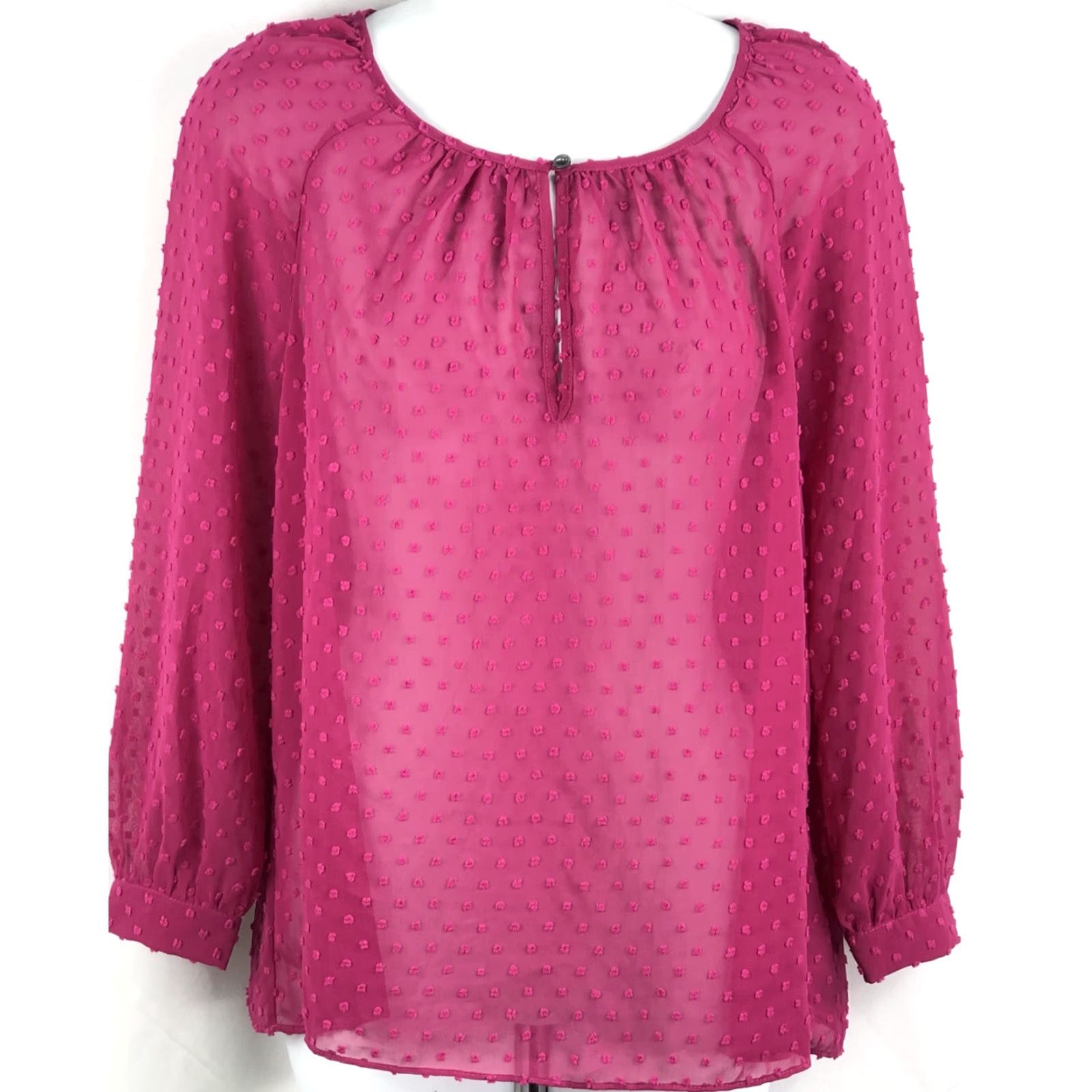 J.Crew NWT J.CREW Sheer Chiffon Top XS Pink Pom Poms Boho Fairy Keyhole Long Sleeve Blouse Women Domestic Vintage No Size XS / US 0-2 / IT 36-38 - 5 Thumbnail