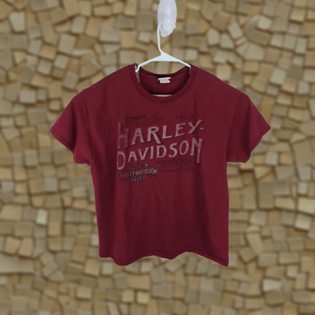 Harley Davidson Harley-Davidson Red Greenville North Carolina T-Shirt XL Thunder Motorcycles Mens Size US XL / EU 56 / 4 - 1 Thumbnail
