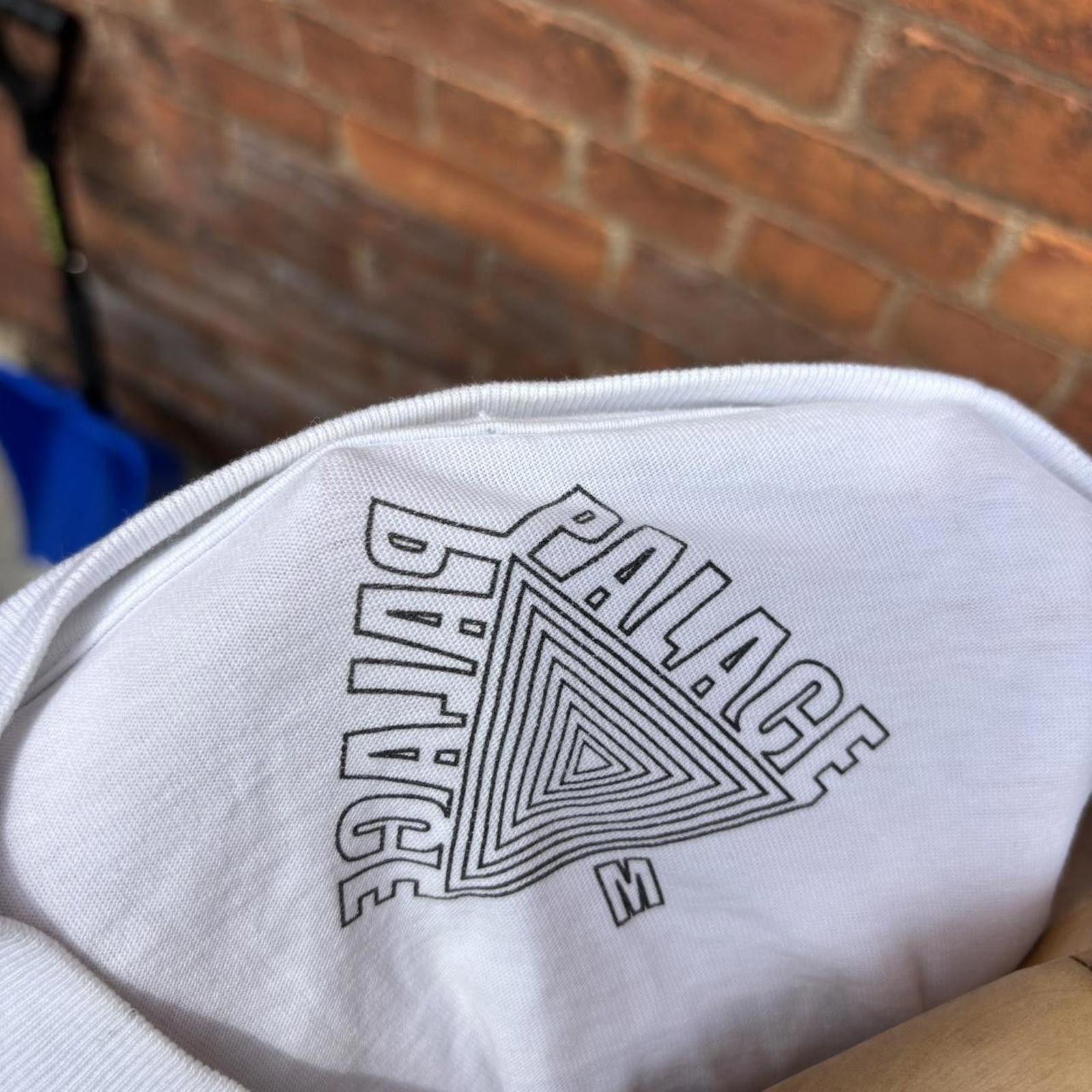 Palace palace skateboards Payne long sleeve t shirt M Size US M / EU 48-50 / 2 - 8 Thumbnail