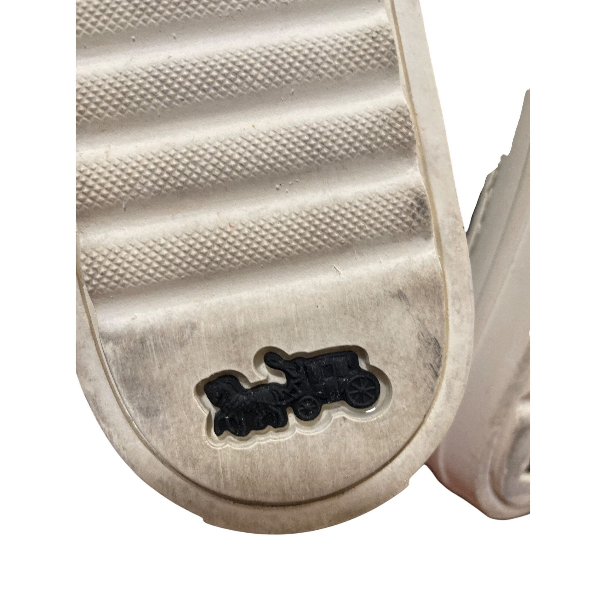 Coach Coach wms black leather low top shark embroided Lightning sn Size US 8 / IT 38 - 7 Thumbnail