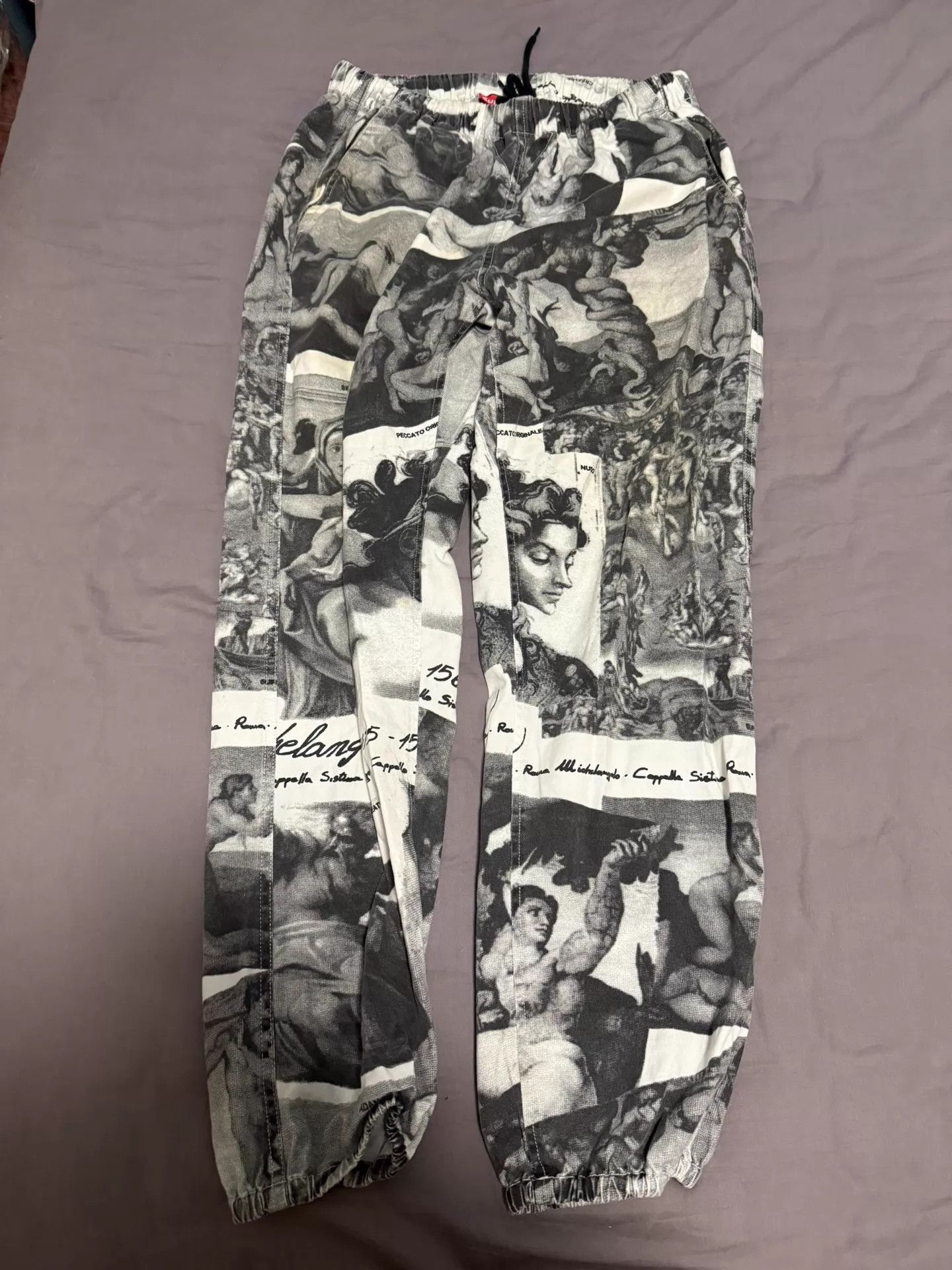 Supreme Supreme FW17 Michelangelo Paint Pant S Size US 29 - 2 Thumbnail