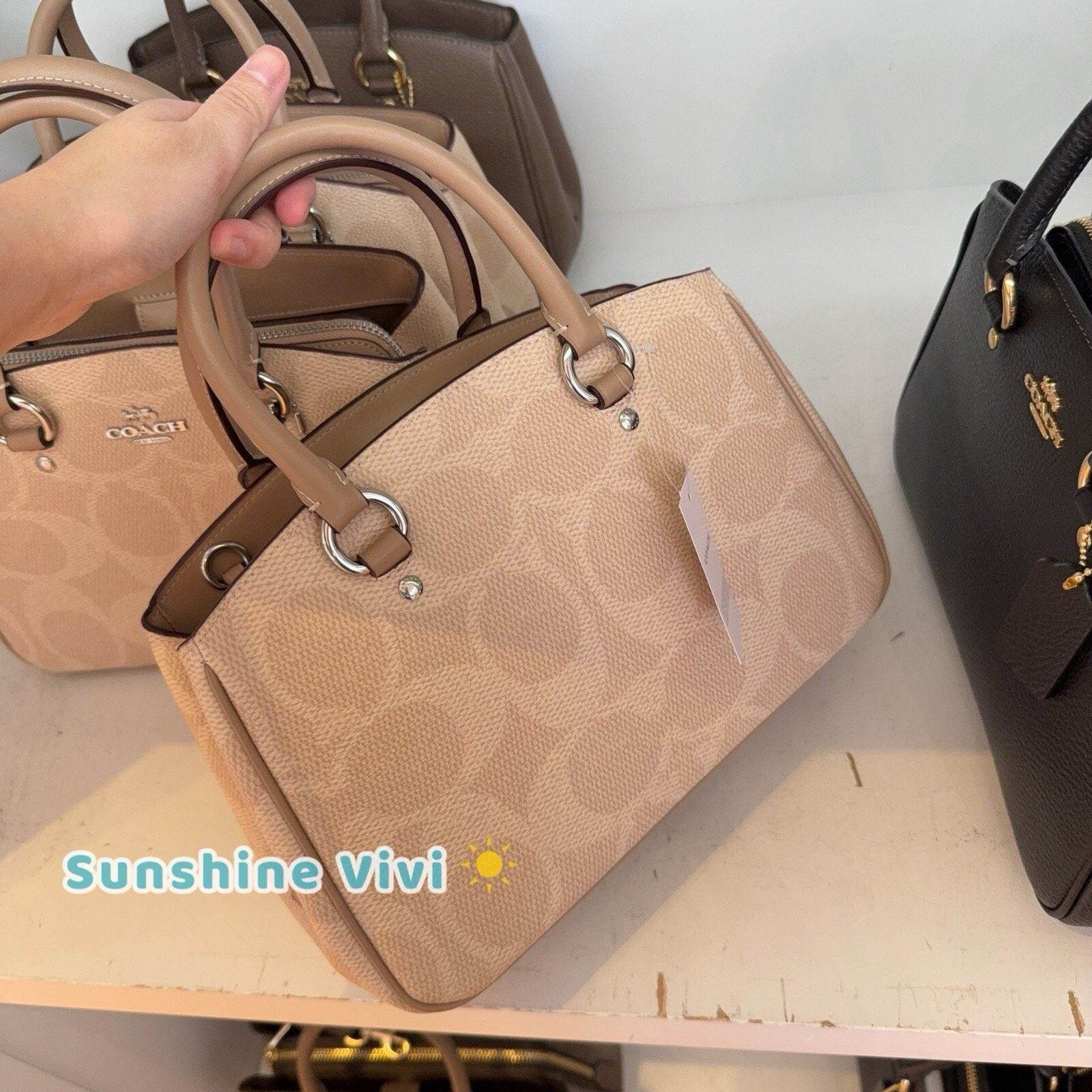 Coach NWT Coach Savannah Small Carryall Bag CAL53 Sand/Taupe Size ONE SIZE - 4 Thumbnail