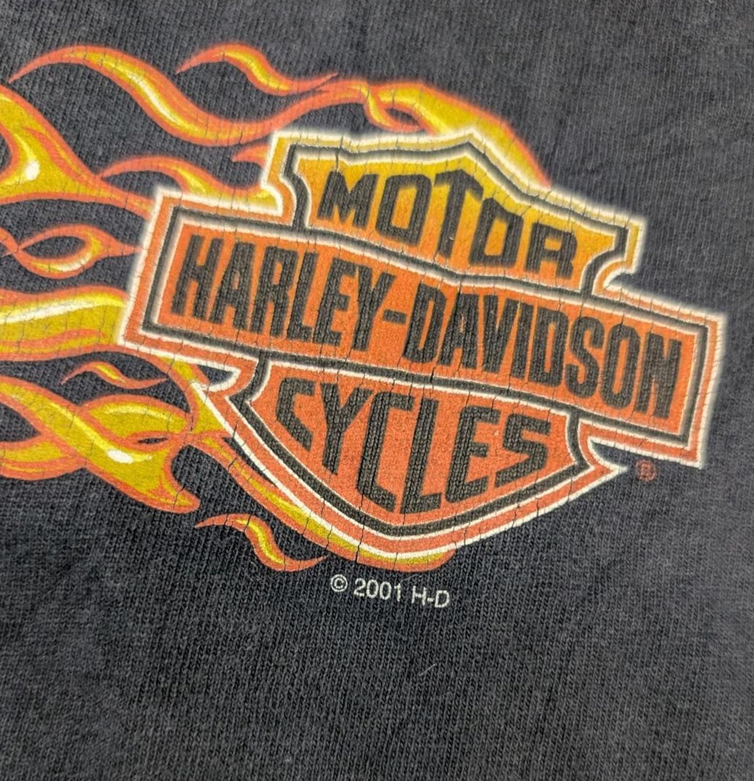 Harley Davidson Y2K 2001 Harley Davidson Thunder Creek Long Sleeve shirt Size US M / EU 48-50 / 2 - 4 Thumbnail