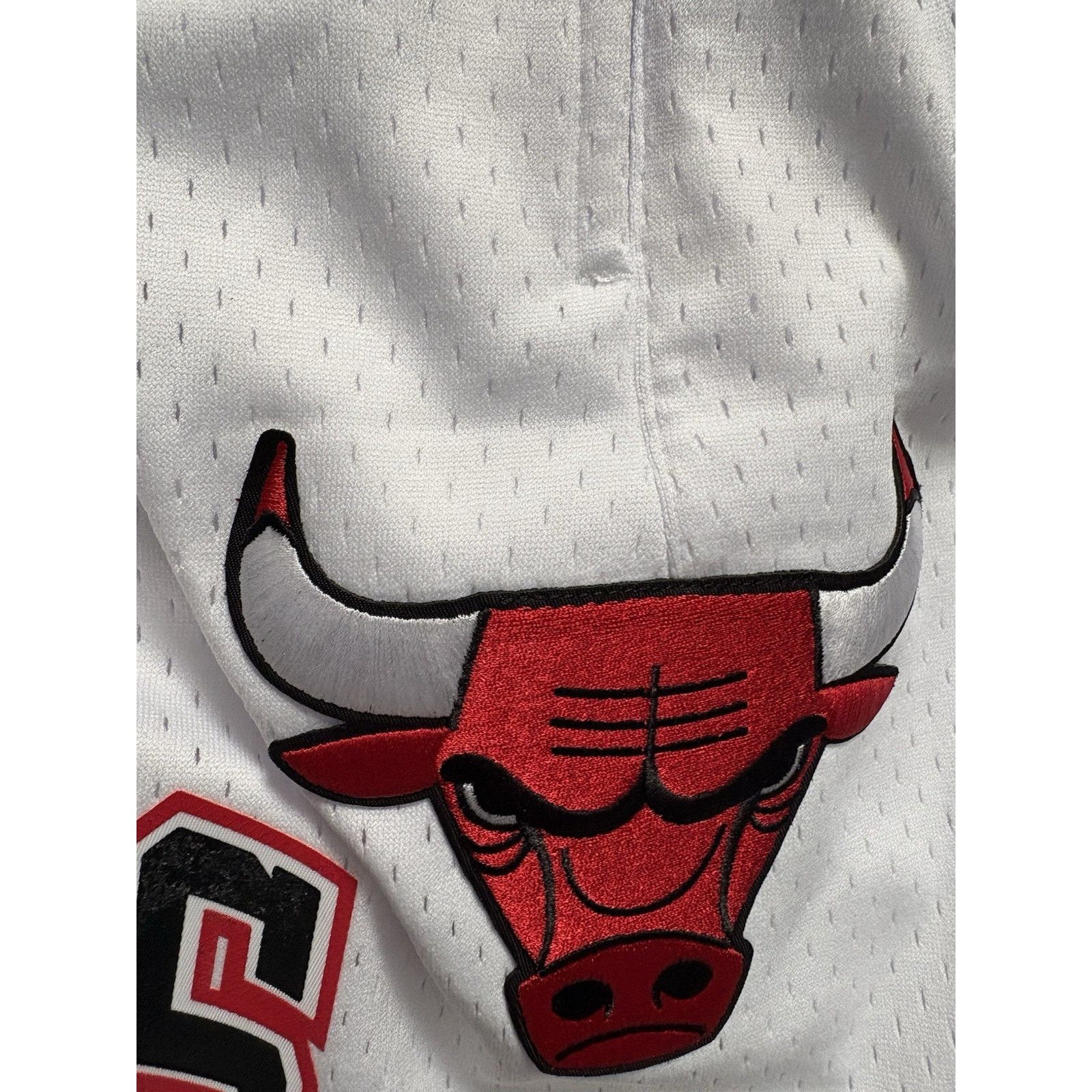 Pro Standard PRO STANDARD CHICAGO BULLS LOGO MESH WHITE Shorts Sz Large Size US 36 / EU 52 - 5 Thumbnail