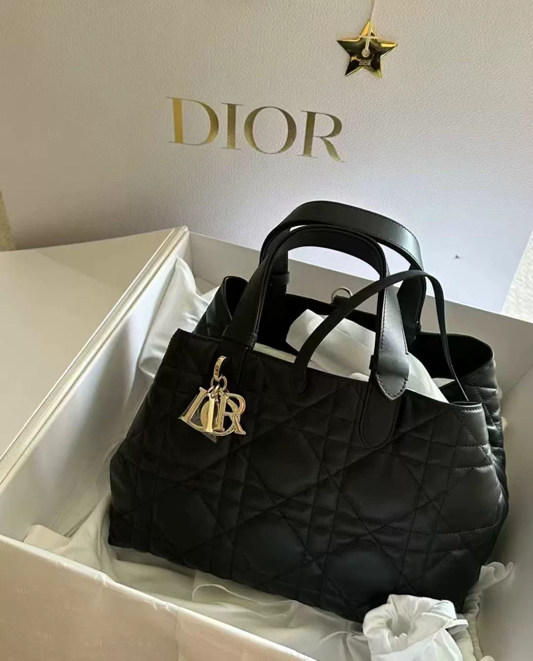 Dior Pre-loved Bag Brand new condition Size ONE SIZE - 1 Preview
