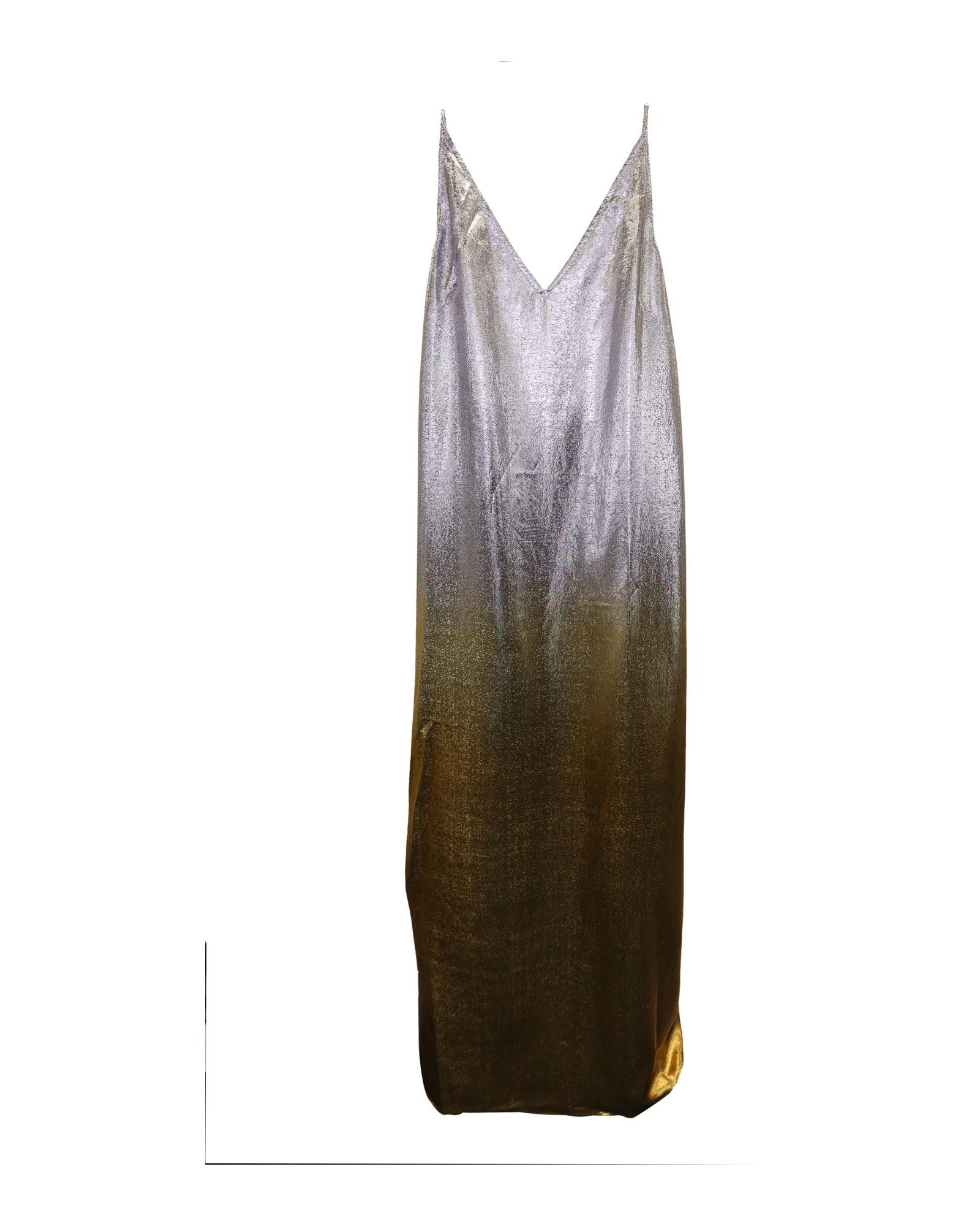 image of Dries Van Noten Glamorous Metallic Maxi Dress in Metallic/Gold, Women's (Size Small)