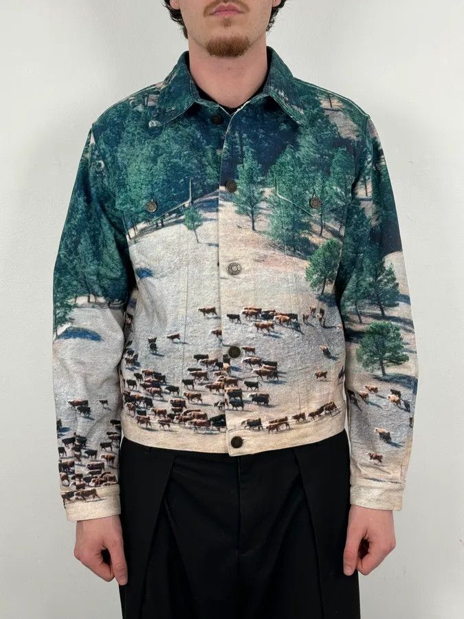 Calvin Klein AW2018 Calvin Klein Printed Landscape Scene Graphic Denim Jacket Size US M / EU 48-50 / 2 - 2 Thumbnail