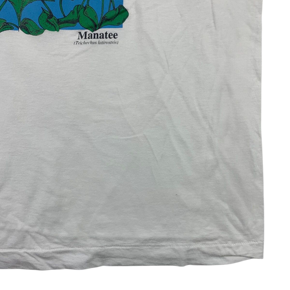 Vintage Vintage 90s FLORIDA Art printed tee Size US L / EU 52-54 / 3 - 8 Thumbnail