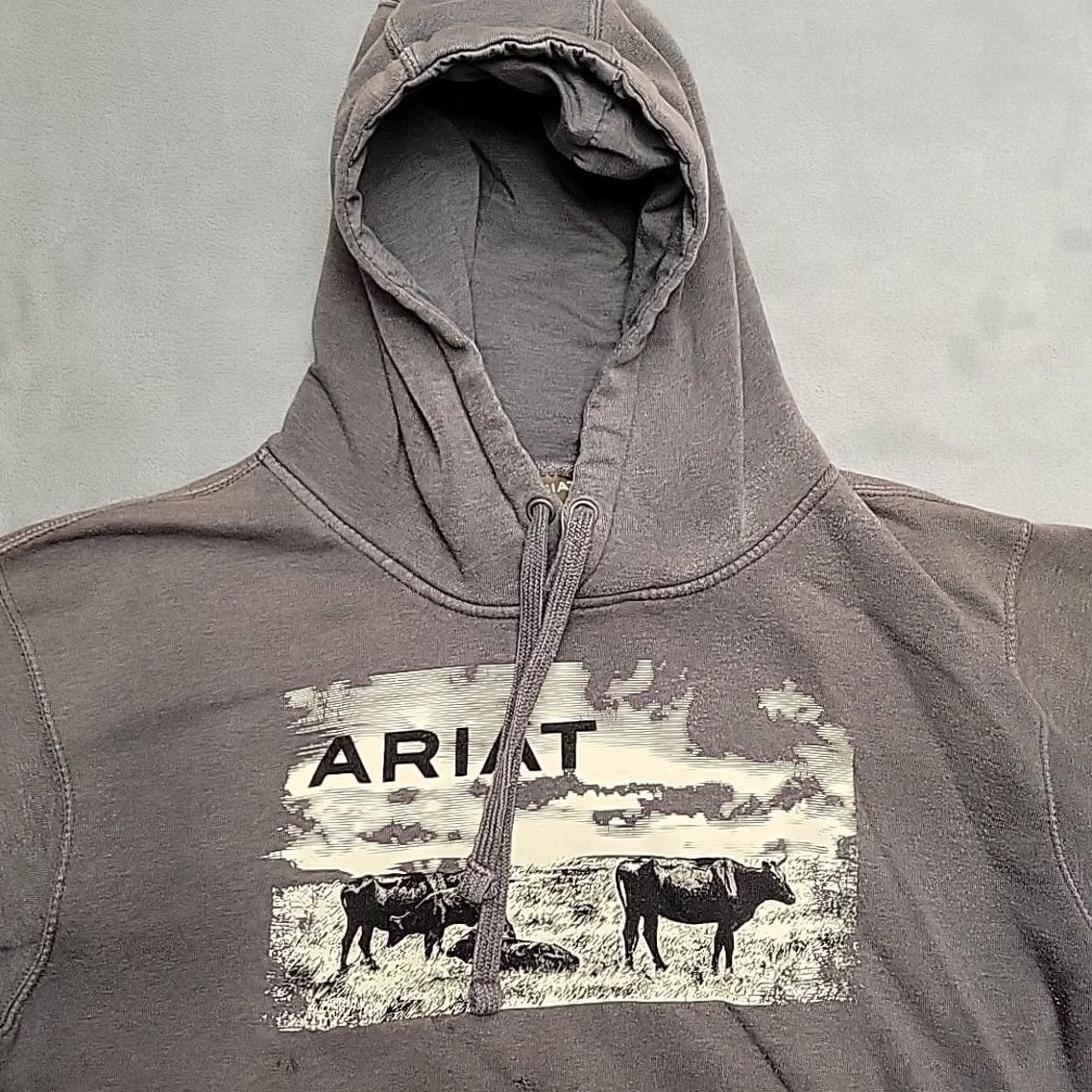 Ariat Ariat Hoodie Men M Gray Cattle Graphic Western Pullover Work Sweatshirt Size US M / EU 48-50 / 2 - 6 Thumbnail