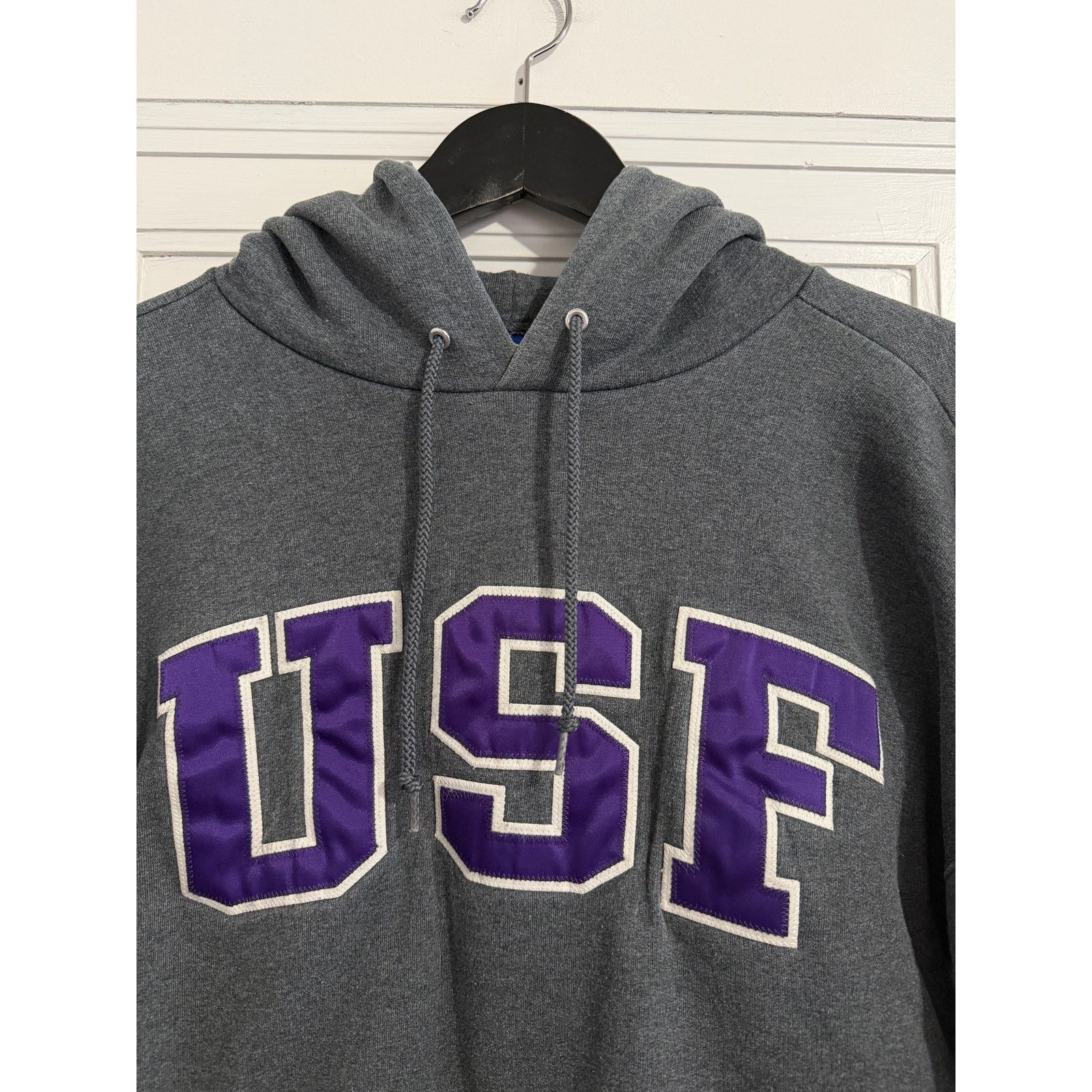 Champion University of Sioux Falls Cougars Hoodie Sweatshirt Size M Size US M / EU 48-50 / 2 - 2 Thumbnail