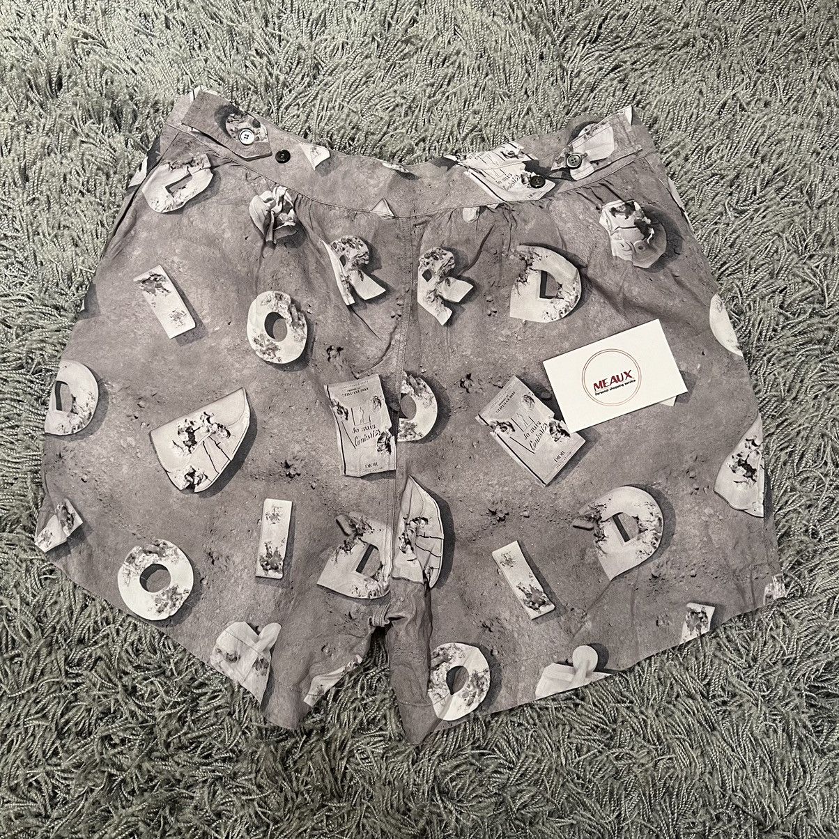Daniel Arsham × Dior Christian Dior x Arsham shorts logo CD silk size bermuda 46 Size US 30 / EU 46 - 3 Thumbnail
