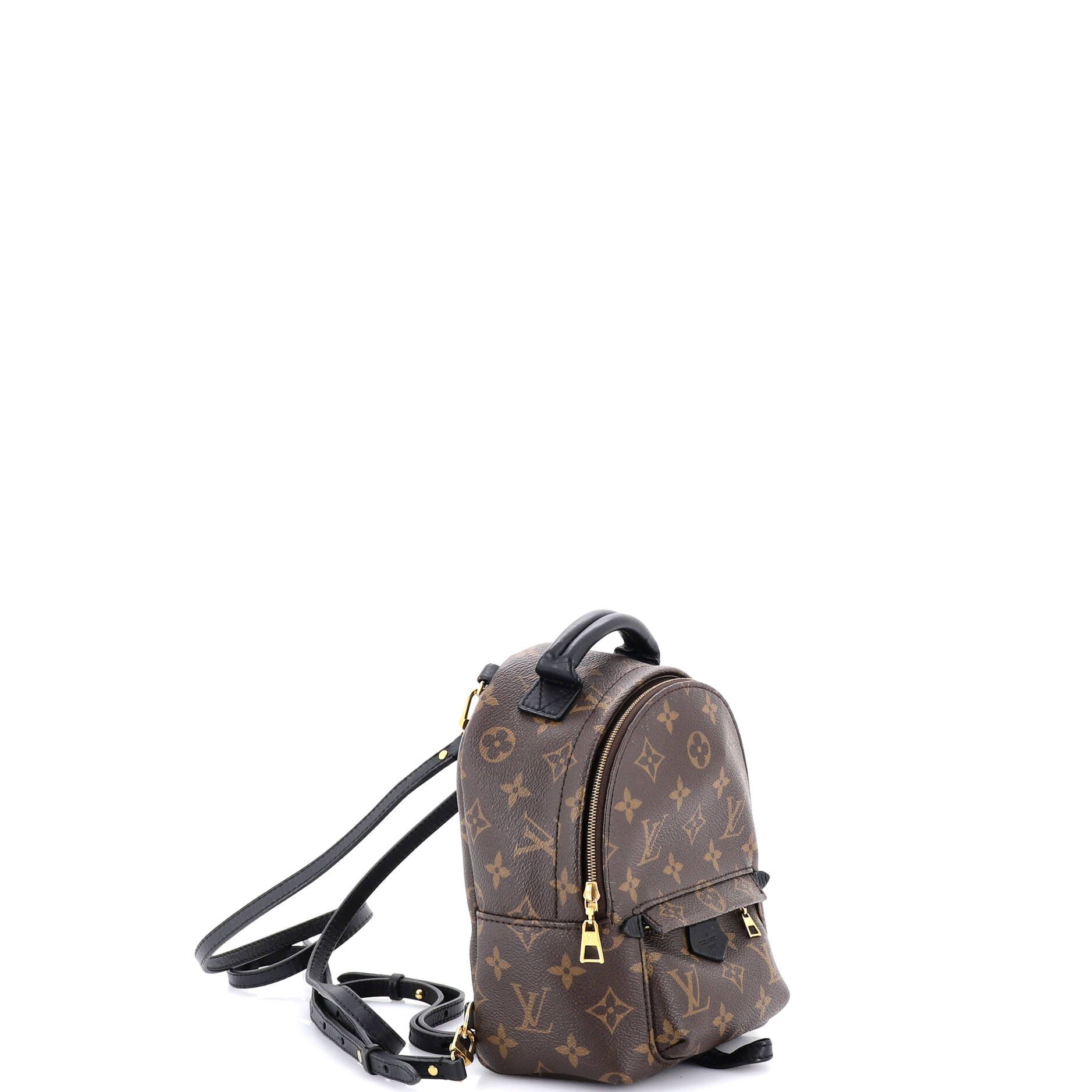 Louis Vuitton Palm Springs Backpack Monogram Canvas Mini Size ONE SIZE - 1 Thumbnail