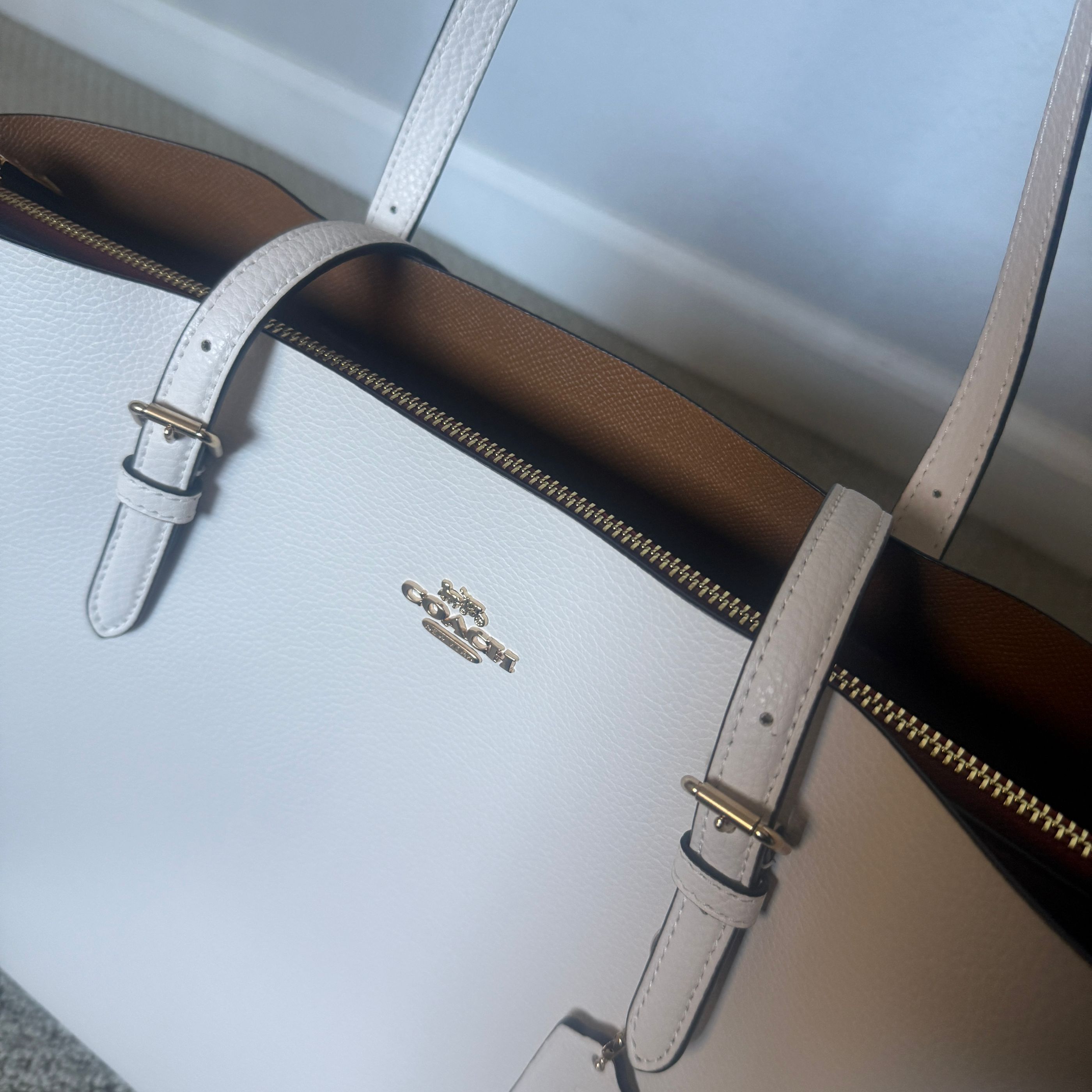 coach Mollie Tote Bag 1671