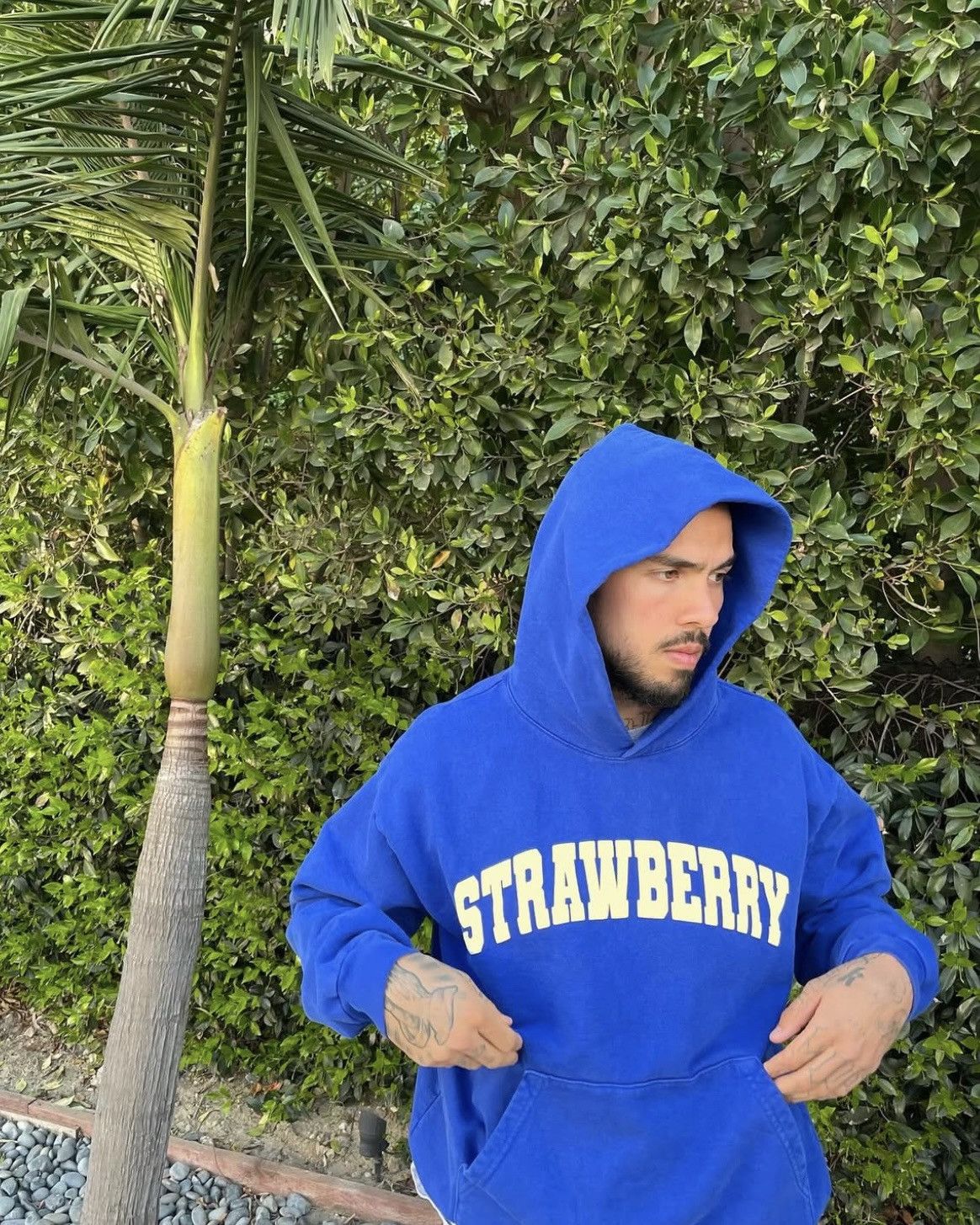 Kai × Strawberry ARCHED STRAWBERRY NAVY HOODIE (XL) Size US XL / EU 56 / 4 - 2 Thumbnail