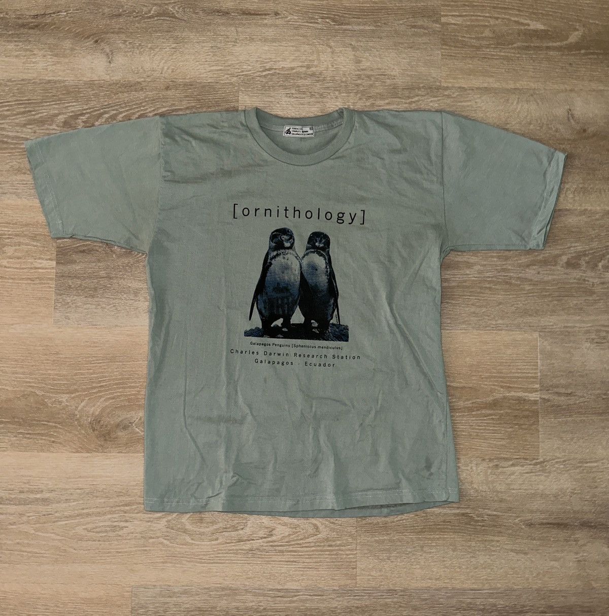 Other Charles Darwin Center Ornithology Galapagos Penguins T-Shirt Size US XL / EU 56 / 4 - 1 Thumbnail