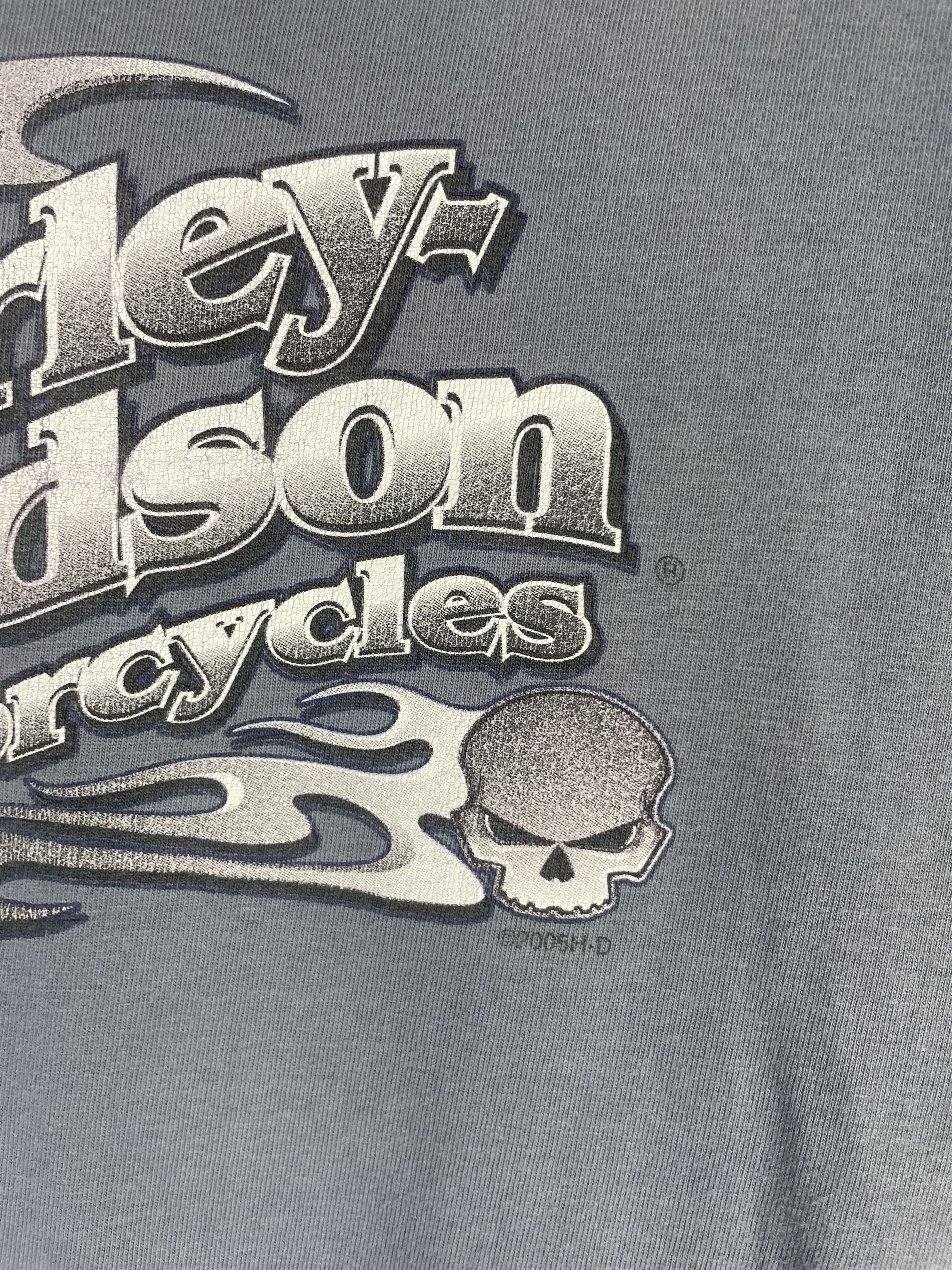 Harley Davidson Vintage Harley Davidson T-Shirt Size US M / EU 48-50 / 2 - 4 Thumbnail