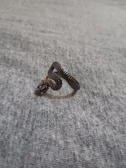 Jewelry Snake silver colour ring adjustable size Size ONE SIZE - 4 Thumbnail