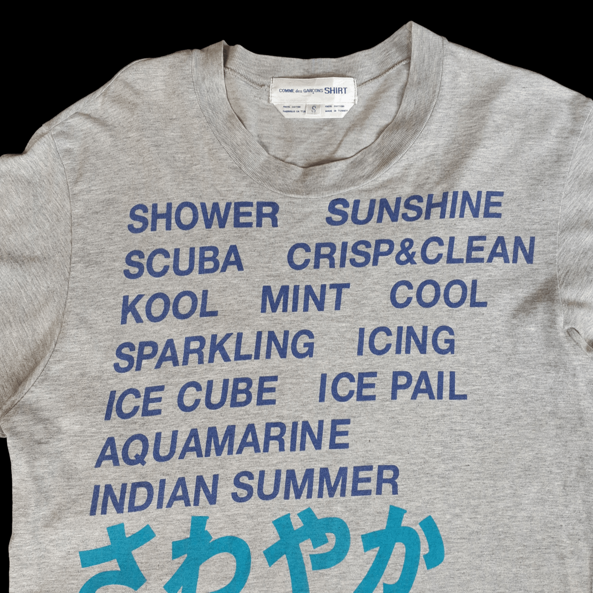 Comme des Garcons Comme des Garcons Shirt 02SS Poem T Shirt Size US S / EU 44-46 / 1 - 2 Thumbnail