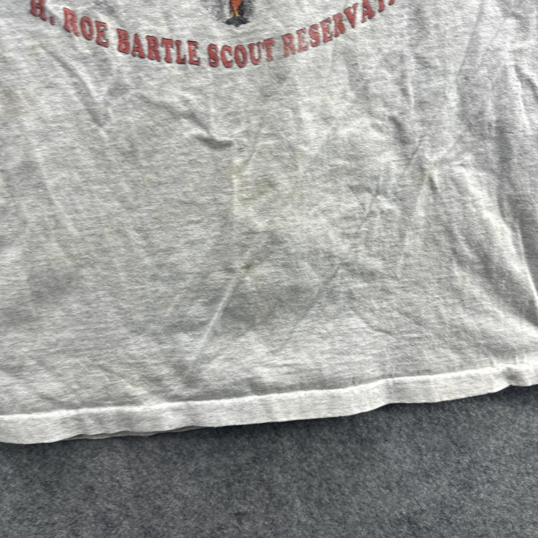 Vintage Vintage H Roe Bartle Scout Reservation T-Shirt Mens Large Gray 90s Outdoor Camp Tee Graphic Print Size US L / EU 52-54 / 3 - 6 Thumbnail