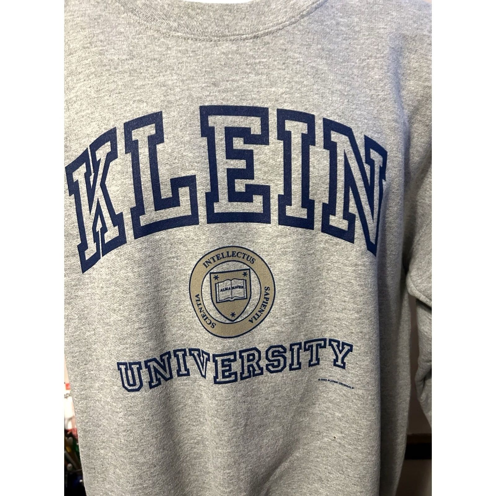 Gildan VINTAGE Gildan Sweatshirt University Klein Pullover Gray Adult Large Crew Neck Long Sleeve Graphic Print NWT Dead Stock 2002 Unisex Mens Womens Size US L / EU 52-54 / 3 - 7 Thumbnail