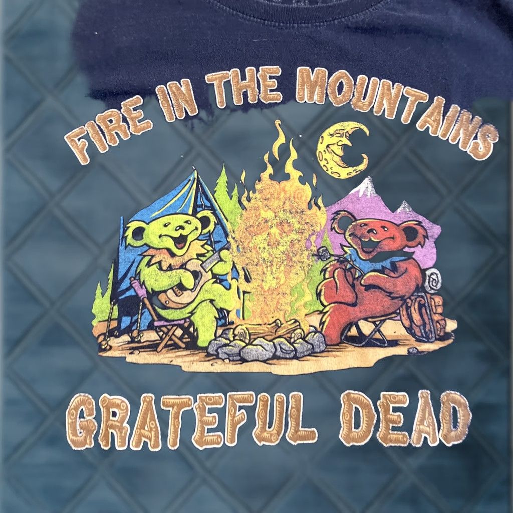 Liquid Blue VINTAGE Liquid Blue Grateful Dead Fire In The Mountains Dancing Bears T Shirt M Blue Mens Short Sleeve T-Shirt 90s Fire Men Size US M / EU 48-50 / 2 - 1 Thumbnail