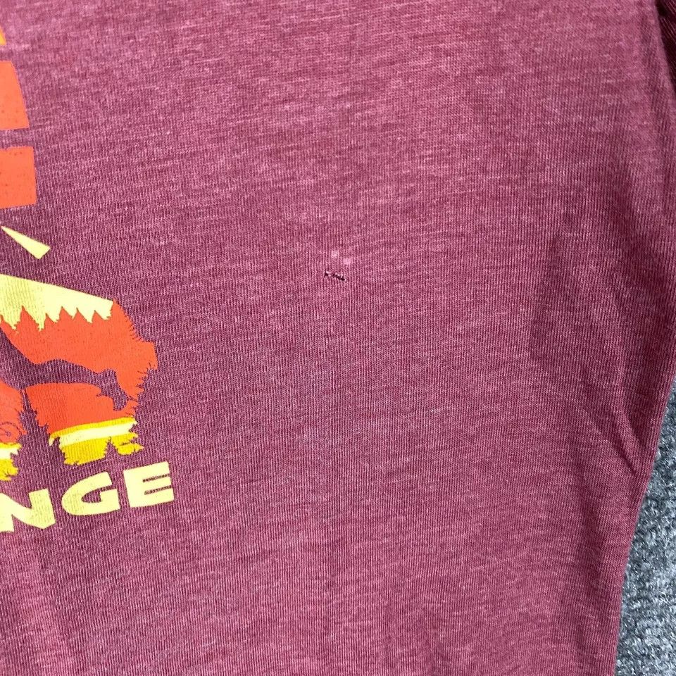 Other Leslie Jordan T-Shirt Large 2021 Challenge Women's Size L / US 10 / IT 46 - 3 Thumbnail