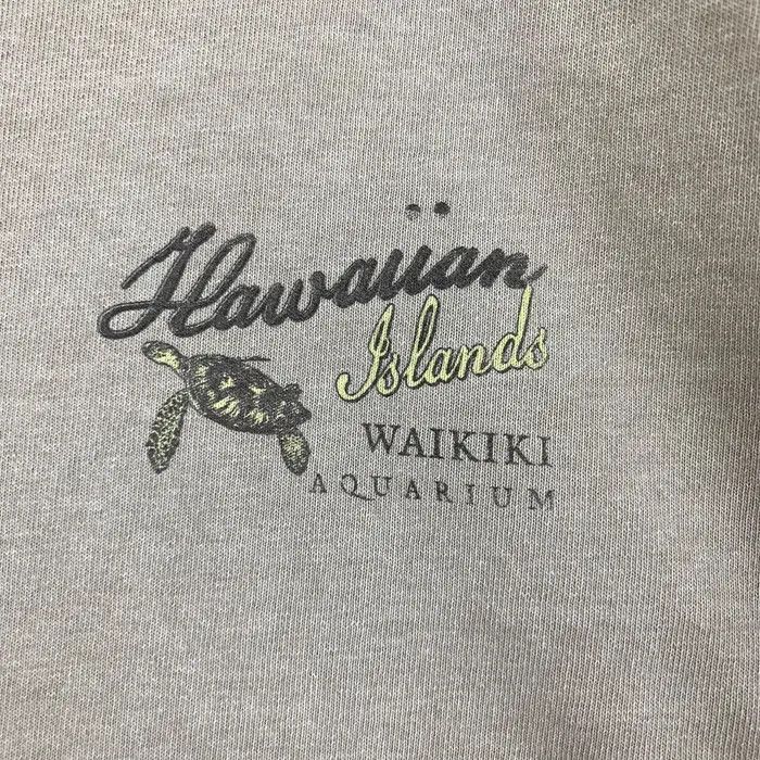 Gildan Vintage HAWAIIAN ISLANDS WAIKIKI Aquarium Maps Tee Shirt Size US S / EU 44-46 / 1 - 9 Thumbnail