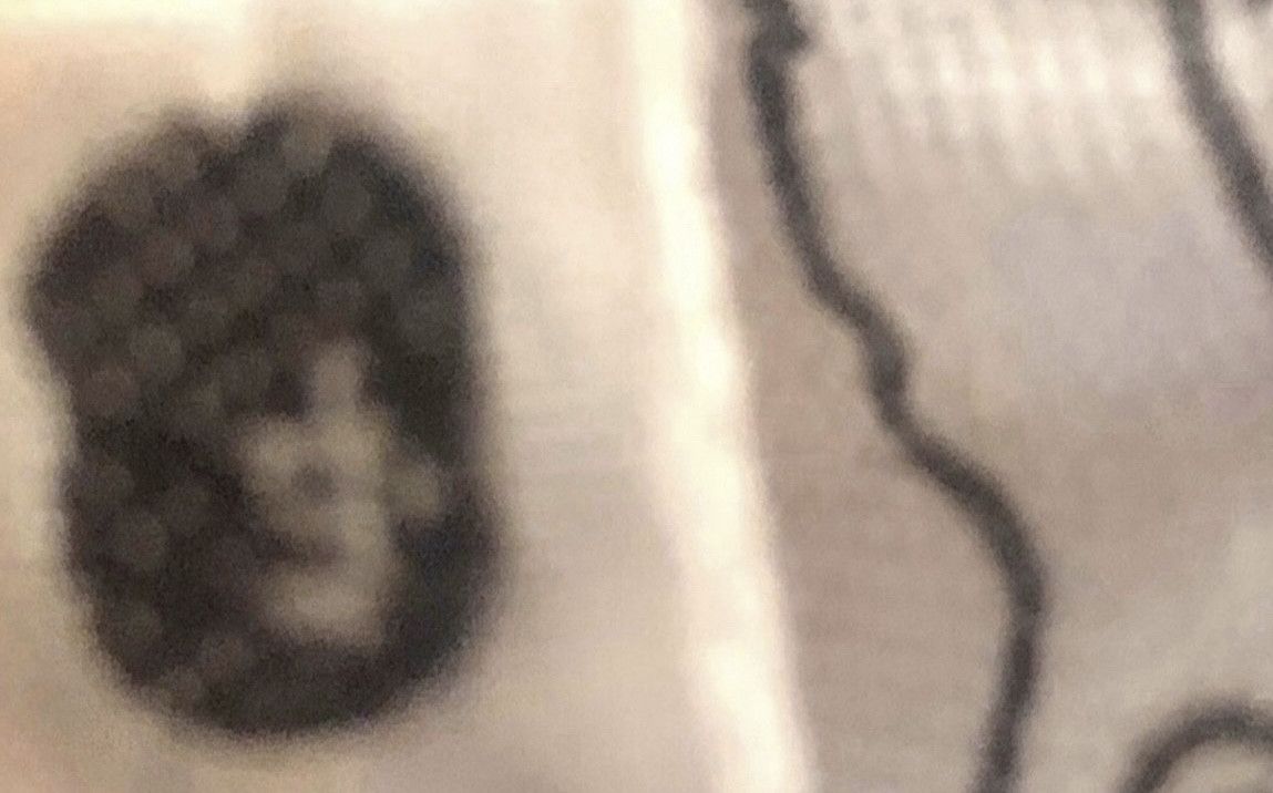 Bape Bape crew neck pullover sweatshirt Size US M / EU 48-50 / 2 - 4 Thumbnail