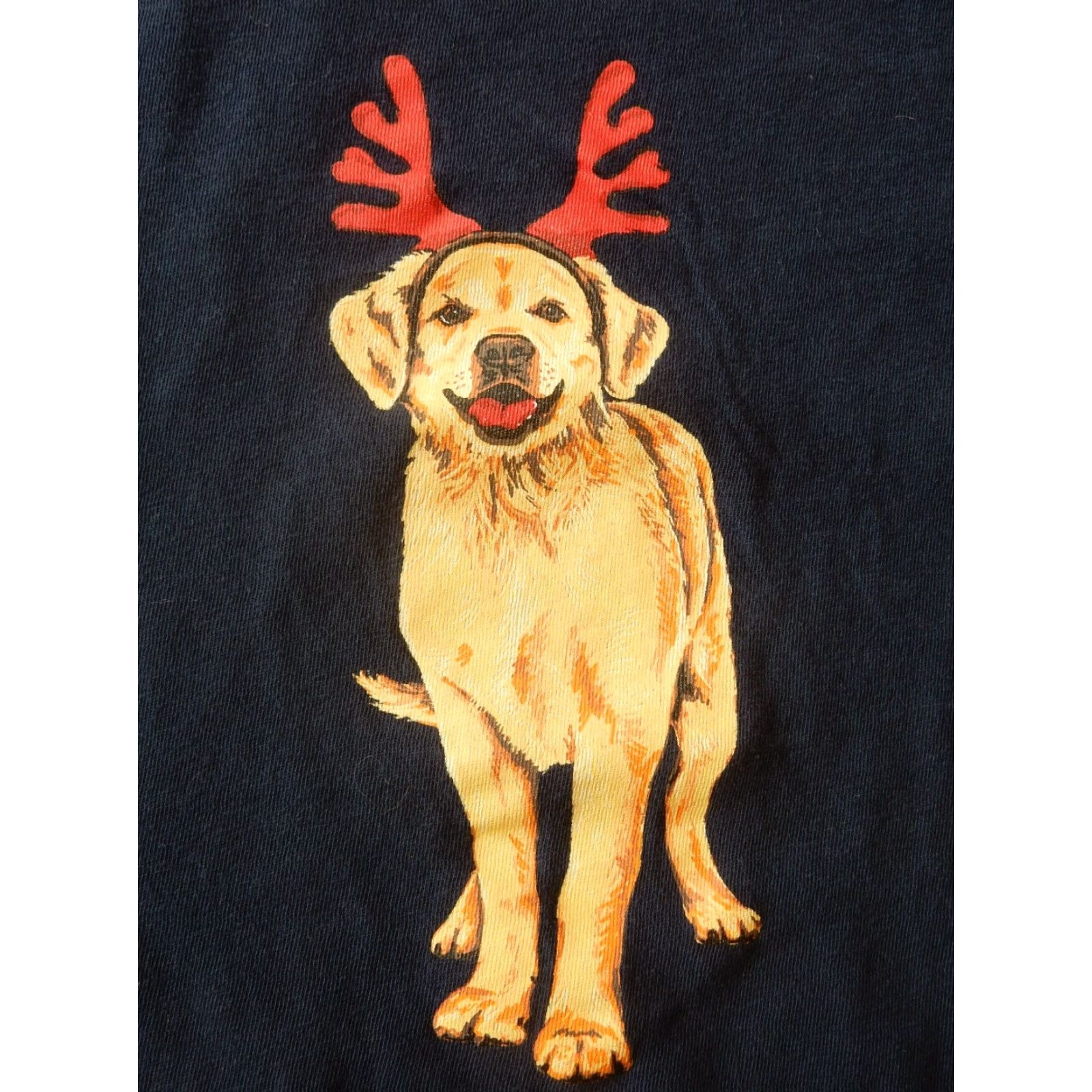 J.Crew J.CREW T-Shirt Men's L Christmas Blue Cotton Graphic Print Shirt Size US L / EU 52-54 / 3 - 2 Thumbnail