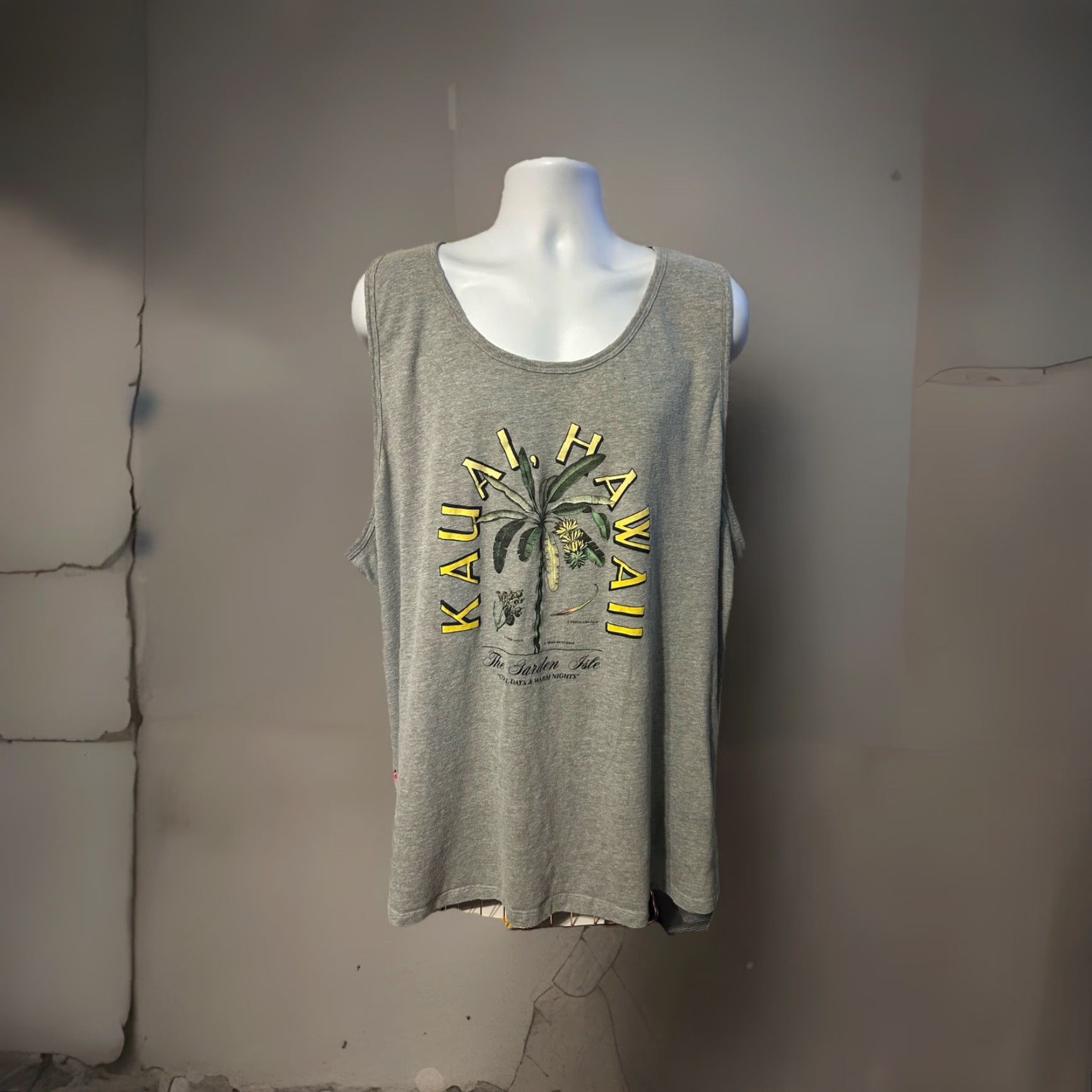 Old Navy Old Navy Kauai Hawaii Tank Top Men 4XL Heather Gray Beach Shirt Sleeveless Crew Neck Summer All Seasons Hawaii 4XL Mens Gray Tank Top Size US XXL / EU 58 / 5 - 5 Thumbnail