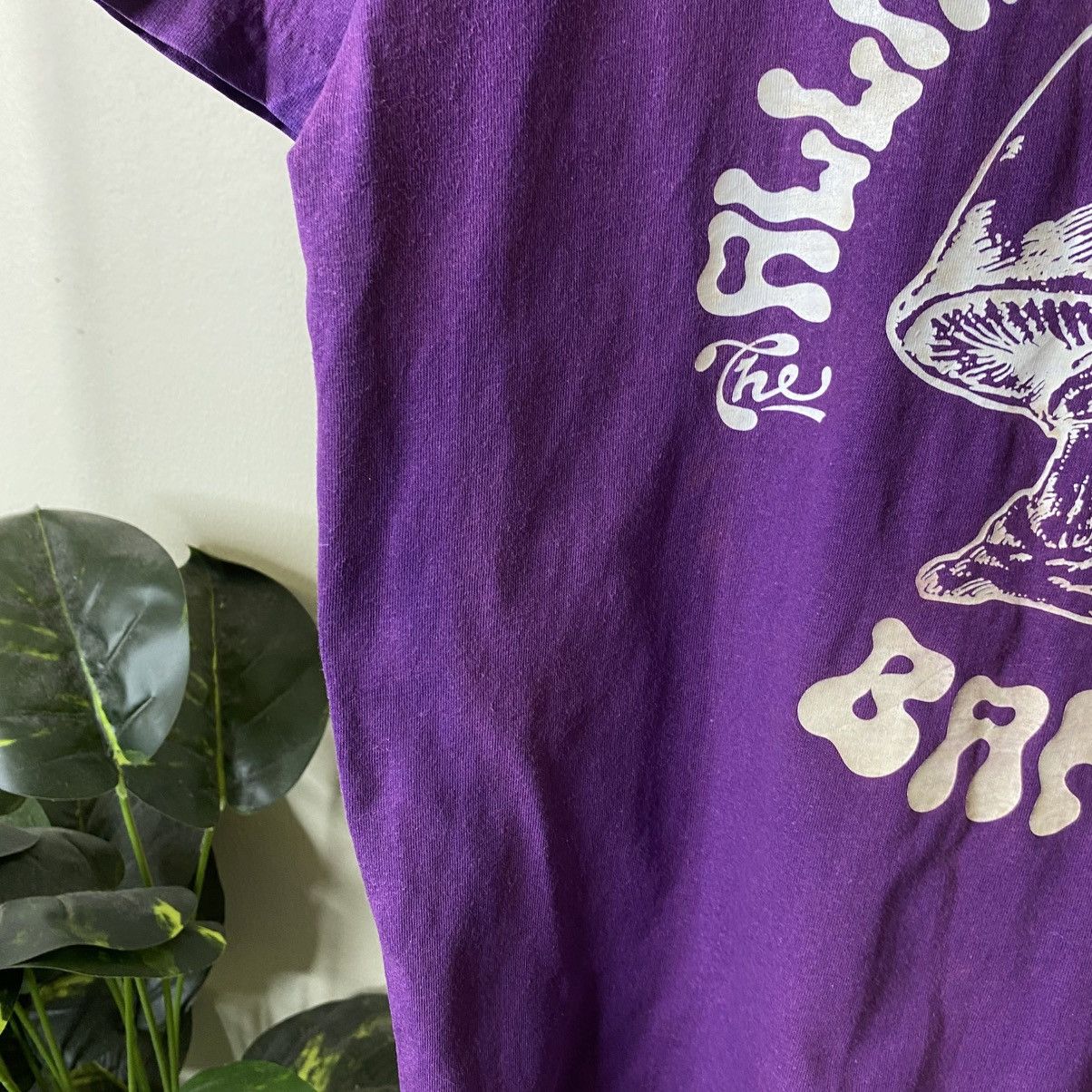 Band Tees Vintage 1990s Allman Brothers Band T Shirt Size US M / EU 48-50 / 2 - 4 Thumbnail