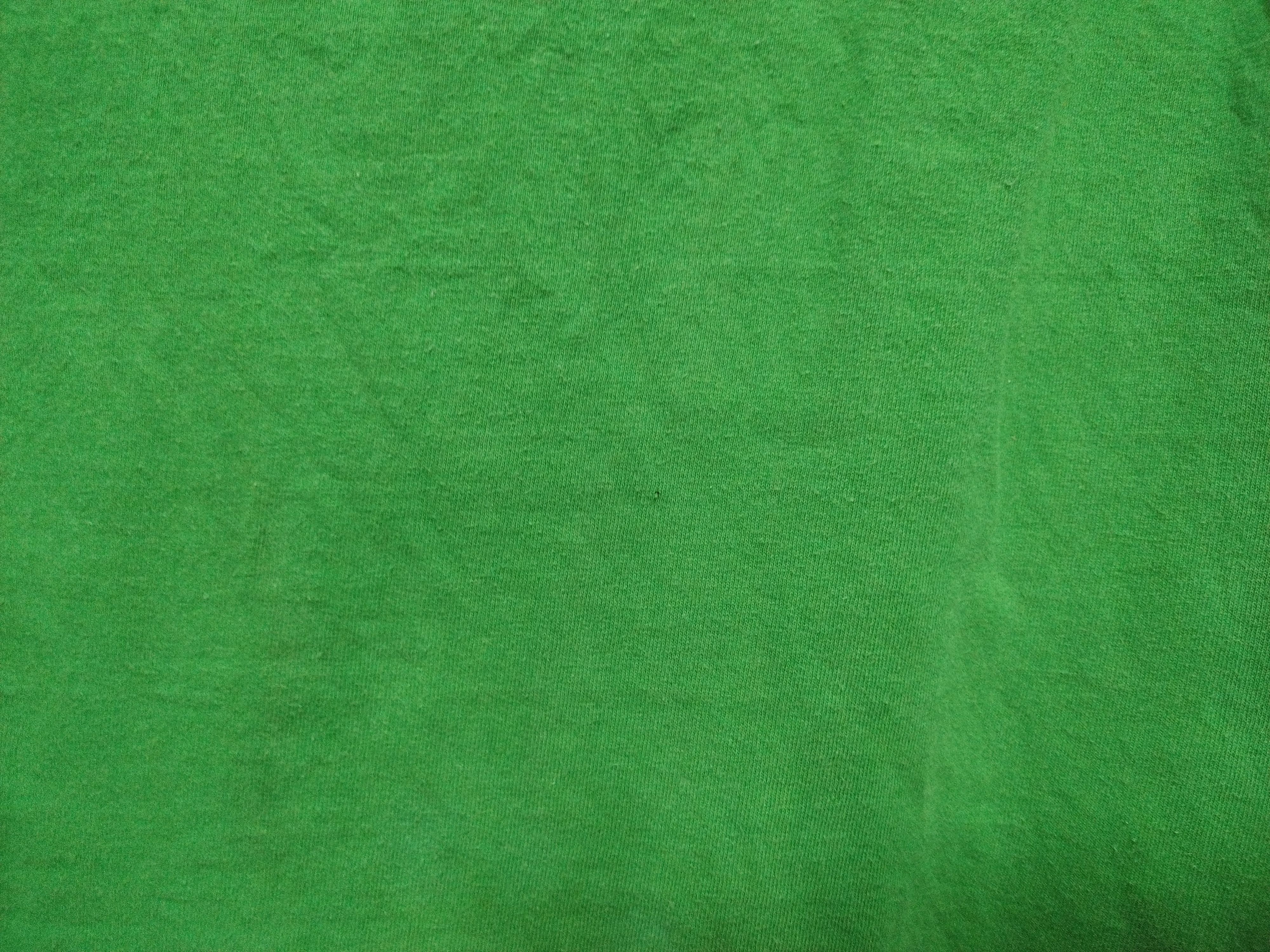 Fruit Of The Loom Sunfaded Fruit of the loom VIP PANDA MANIA T-Shirt Green Size US L / EU 52-54 / 3 - 5 Thumbnail