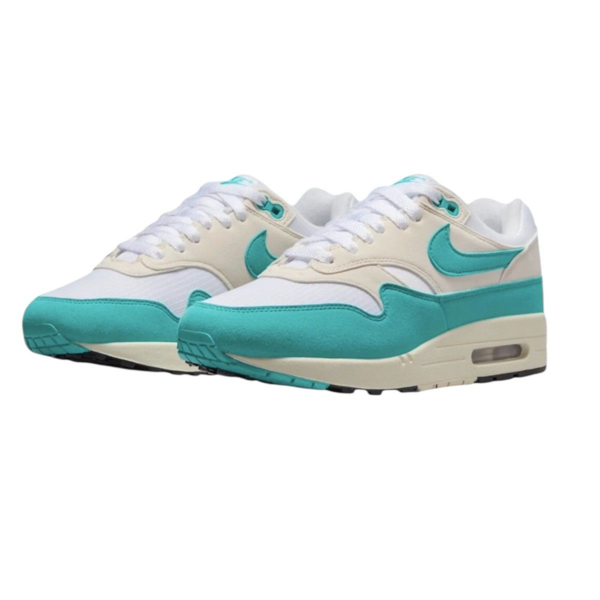 Nike Air Max 1 Dusty Cactus WMNS