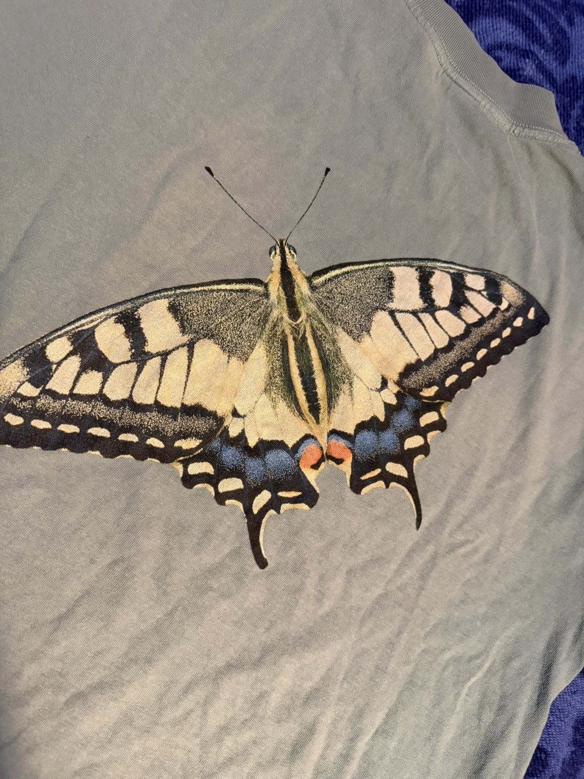Only NY Only Ny Swallowtail butterfly Tshirt Size US M / EU 48-50 / 2 - 4 Thumbnail