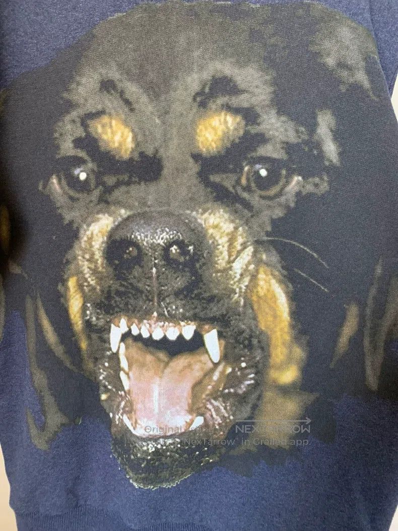 Givenchy Givenchy Blue Dog Head Hoodie Size US XS / EU 42 / 0 - 4 Thumbnail